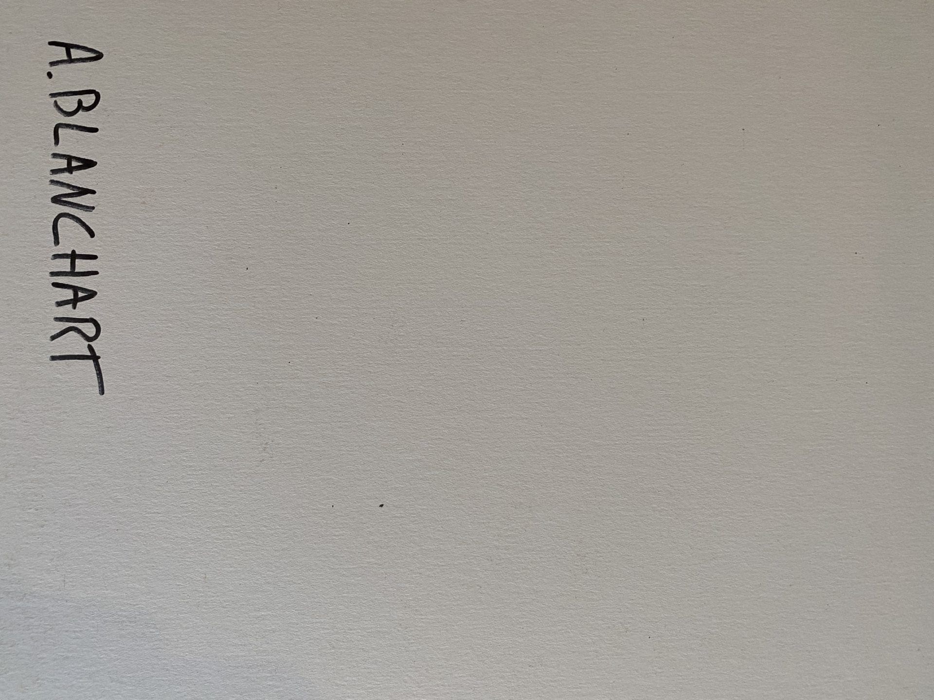 Alberto Blanchart – Angry Mickey (2019)