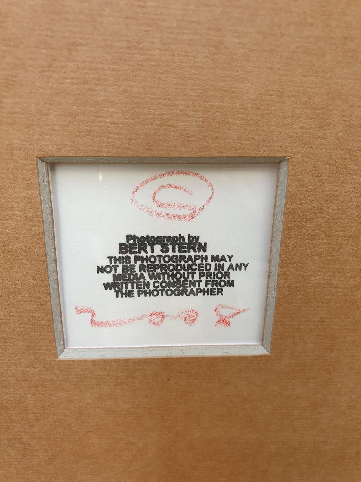 Bert Stern – Last Sitting – 2008