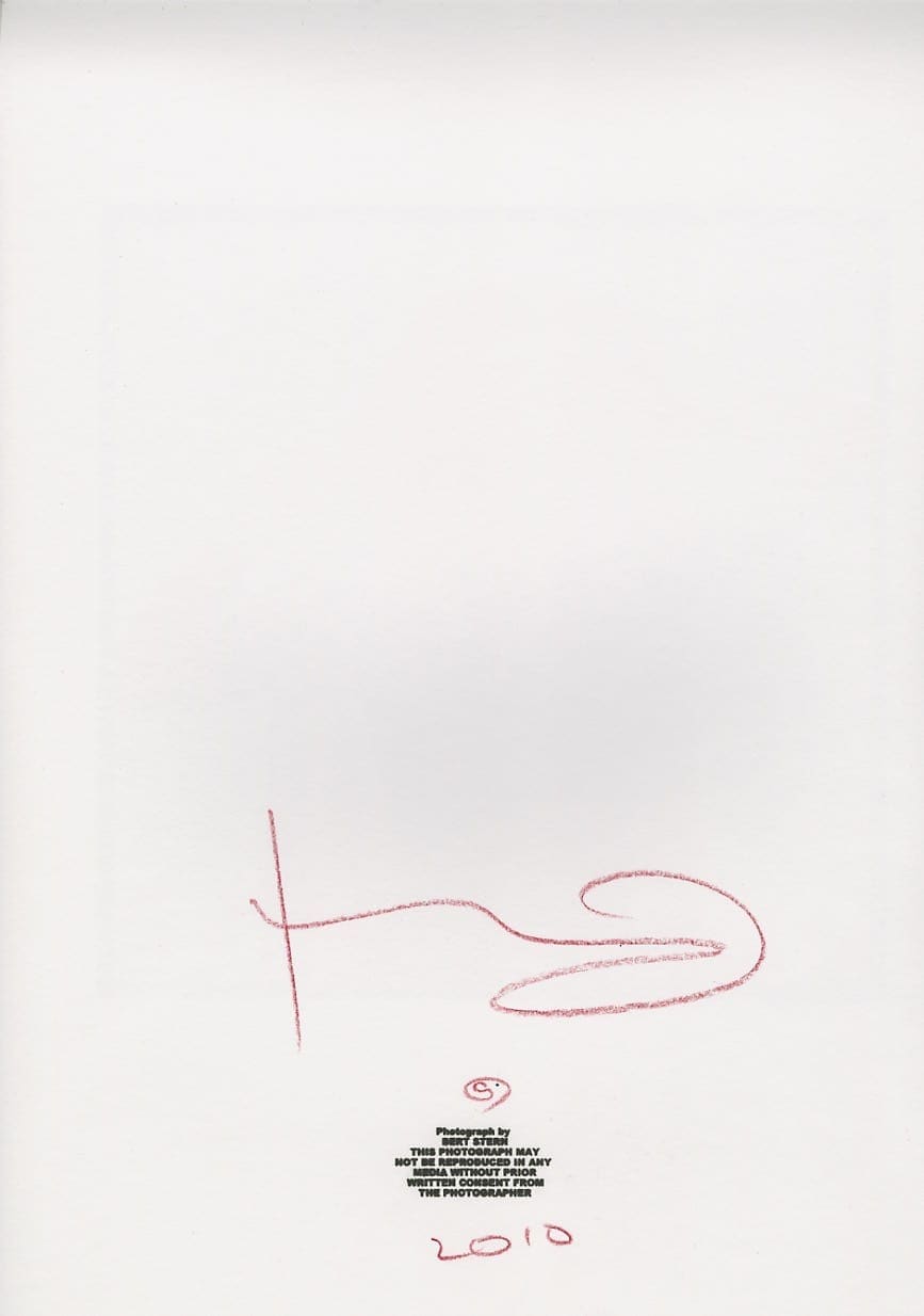 Bert Stern – Marilyn Monroe fuscia scarf profile