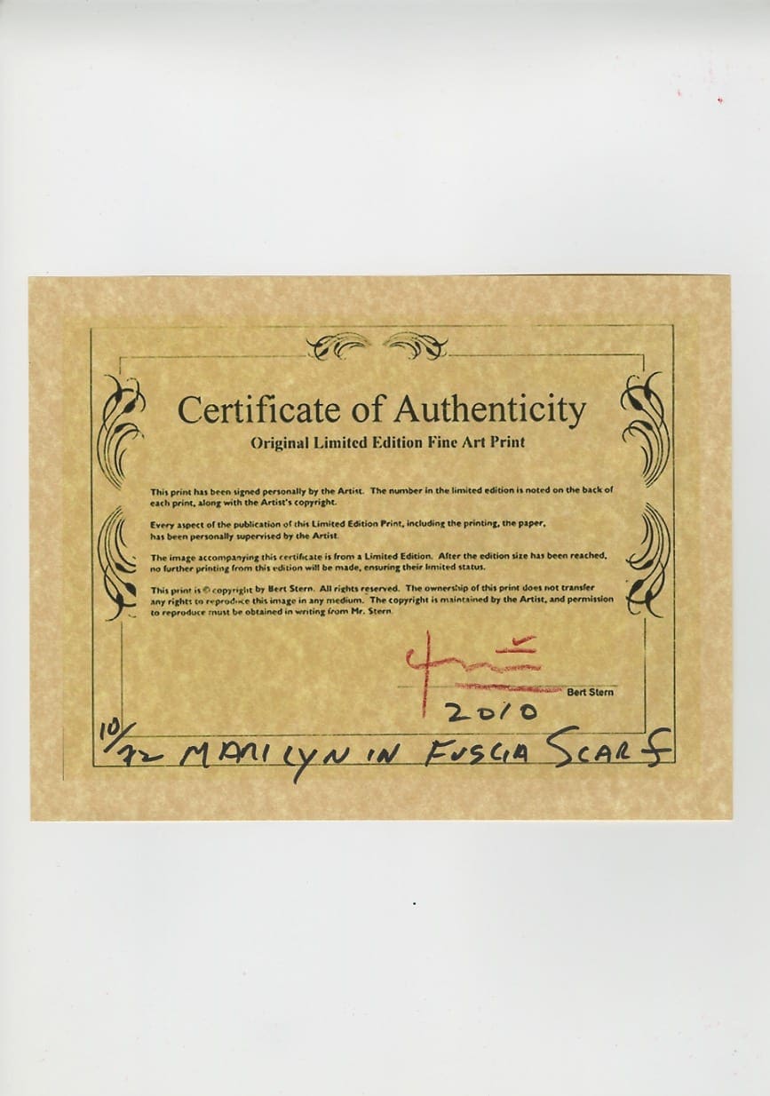 Bert Stern – Marilyn Monroe fuscia scarf profile