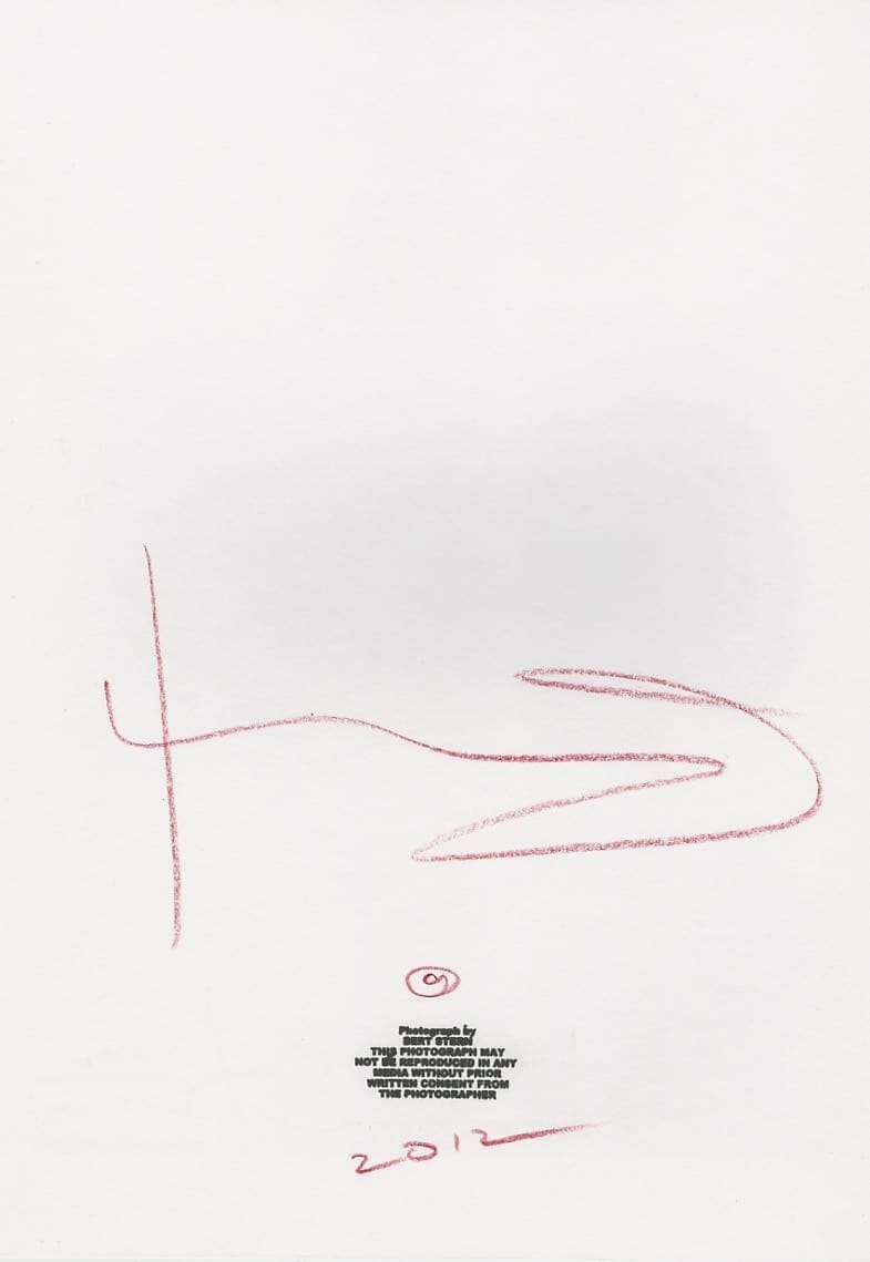 Bert Stern – Marilyn Monroe gold apricot wink Roses