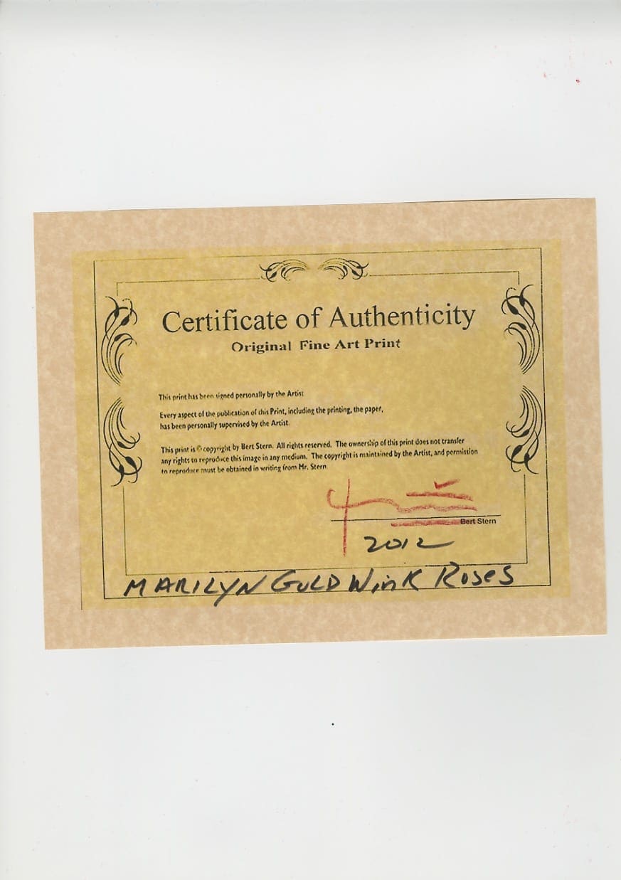 Bert Stern – Marilyn Monroe gold apricot wink Roses