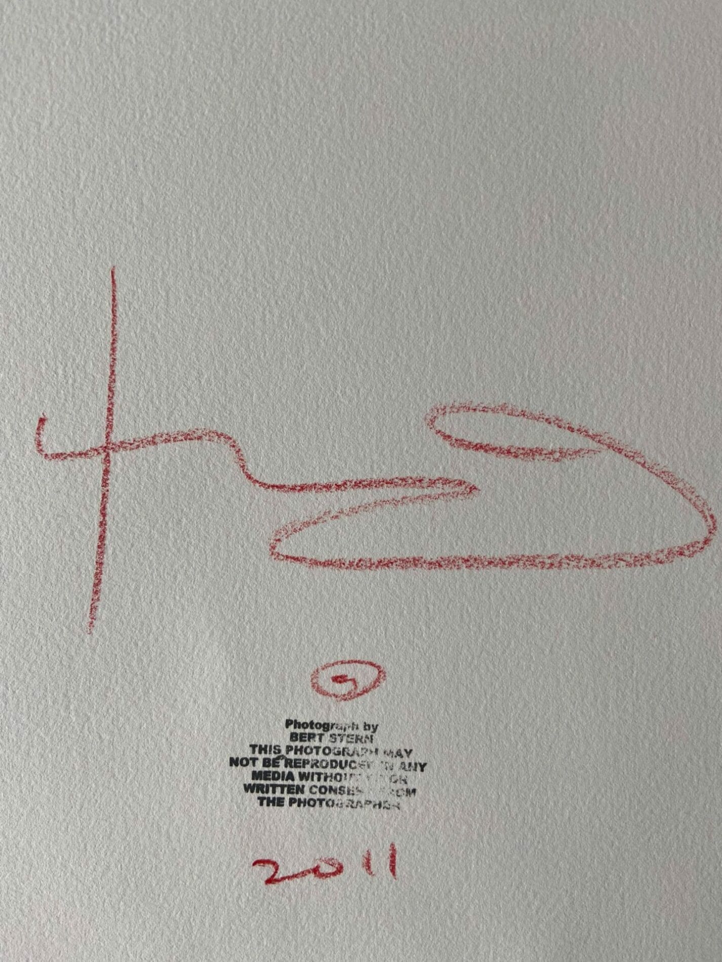 Bert Stern – Marilyn in Vogue, 2011