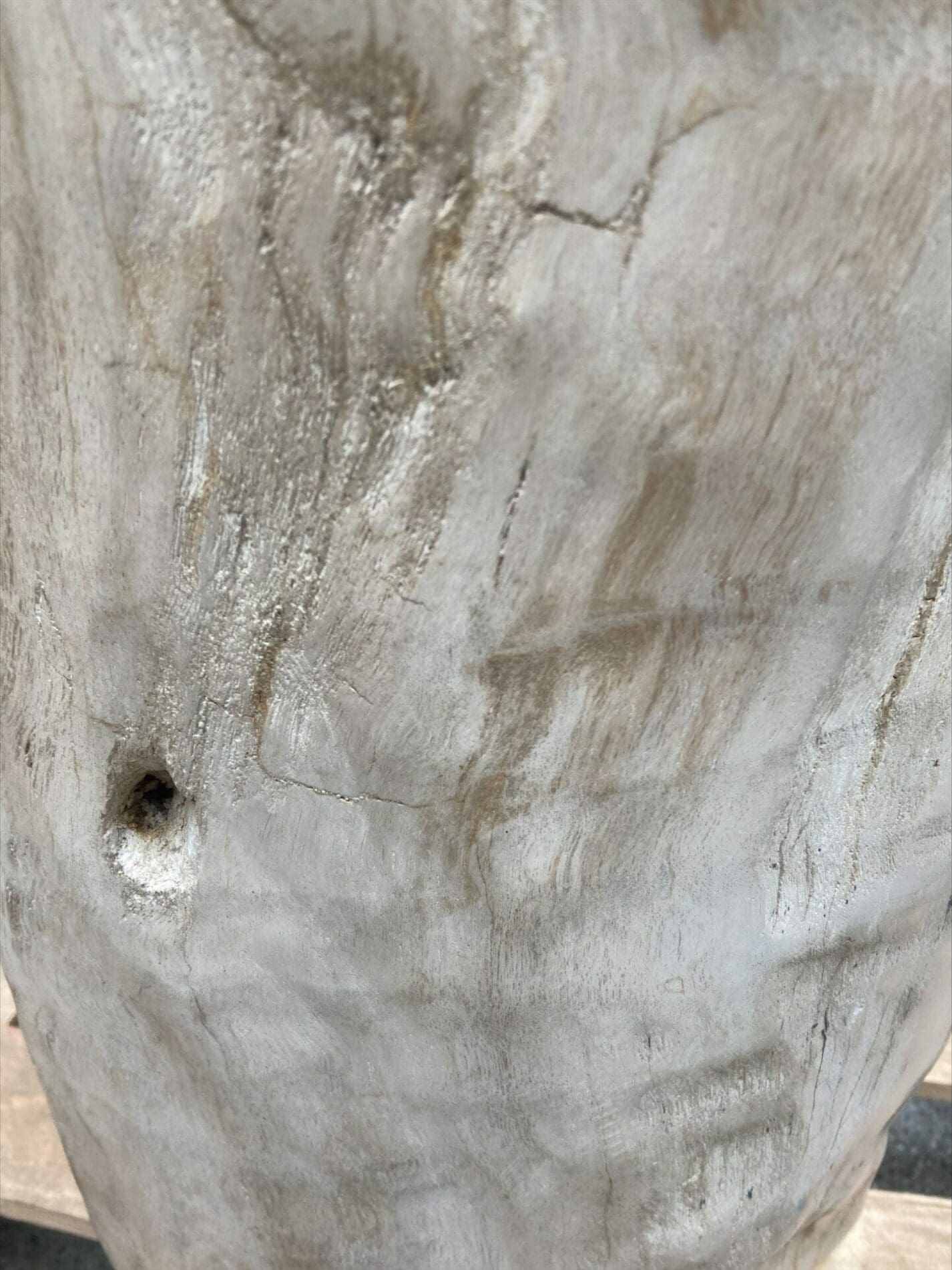 Bois pétrifié du Trias – Tabouret ou table d&rsquo;appoint