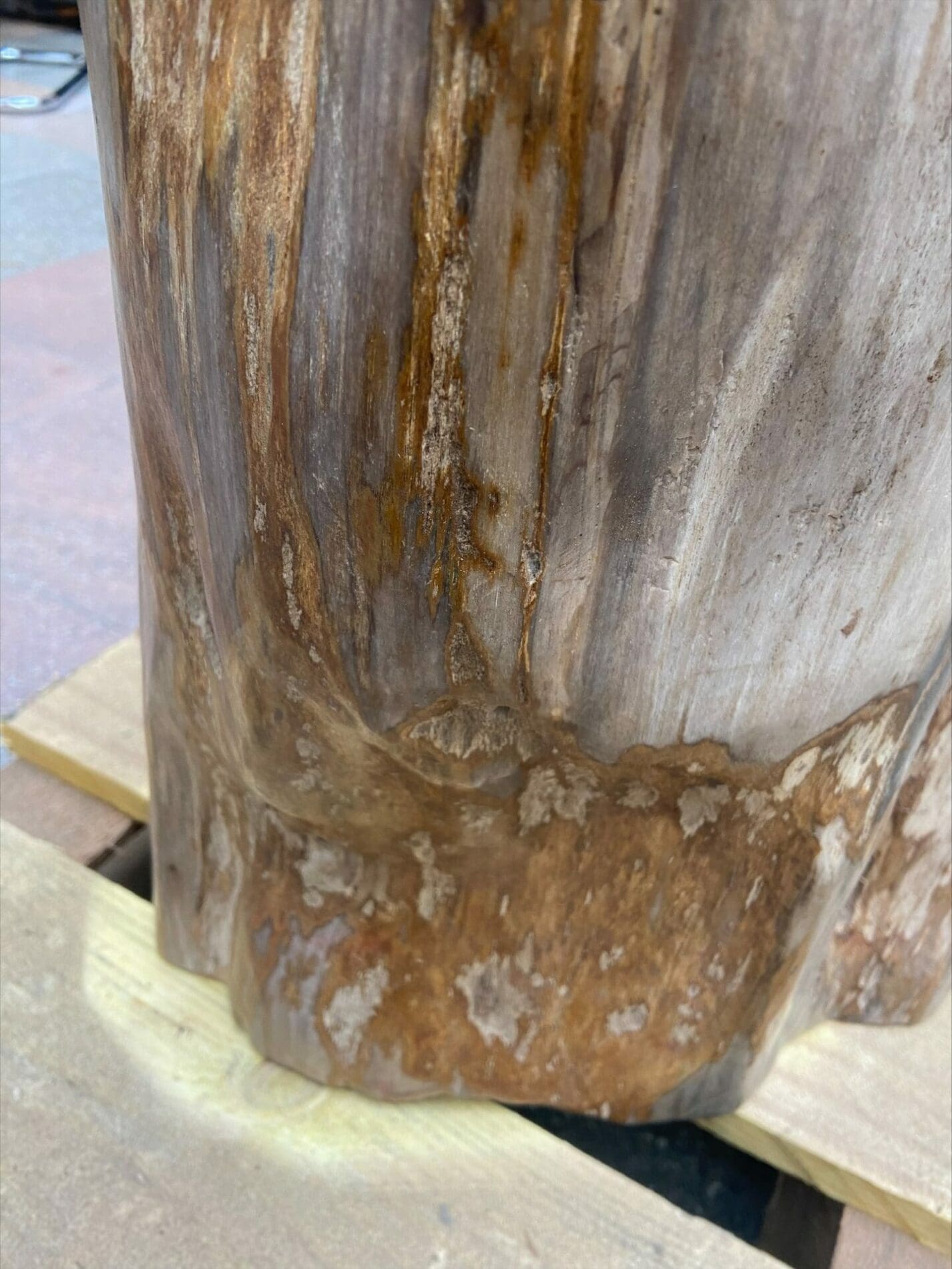 Bois Pétrifié Trias – Tabouret Fossile Poli