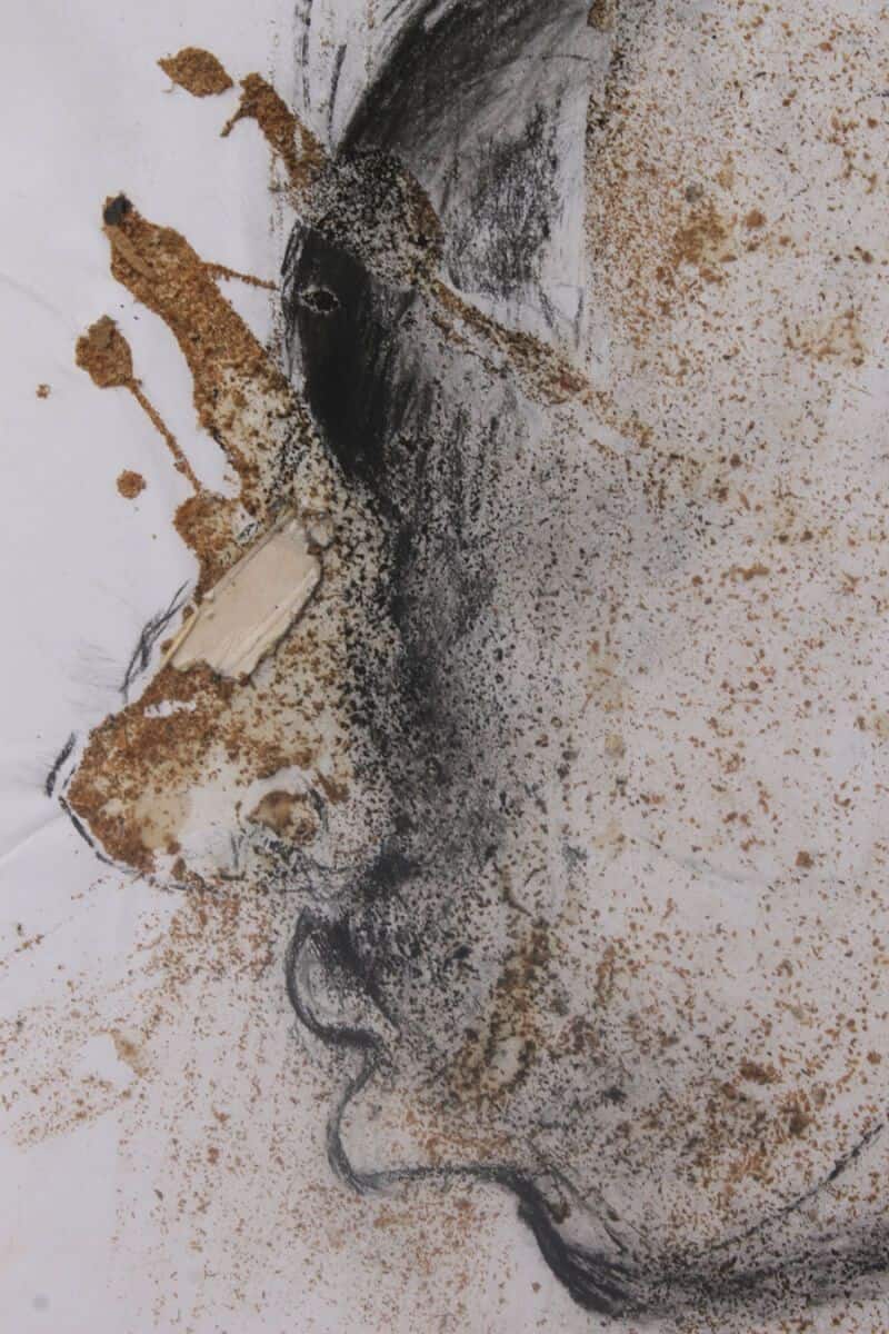 Delphine Rivals – Beauty – 2013