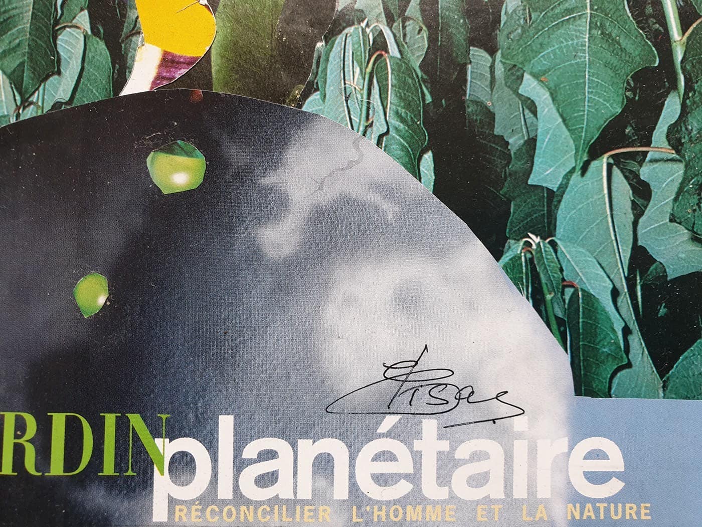 Elisa Casbas – Le jardin planétaire (2018)