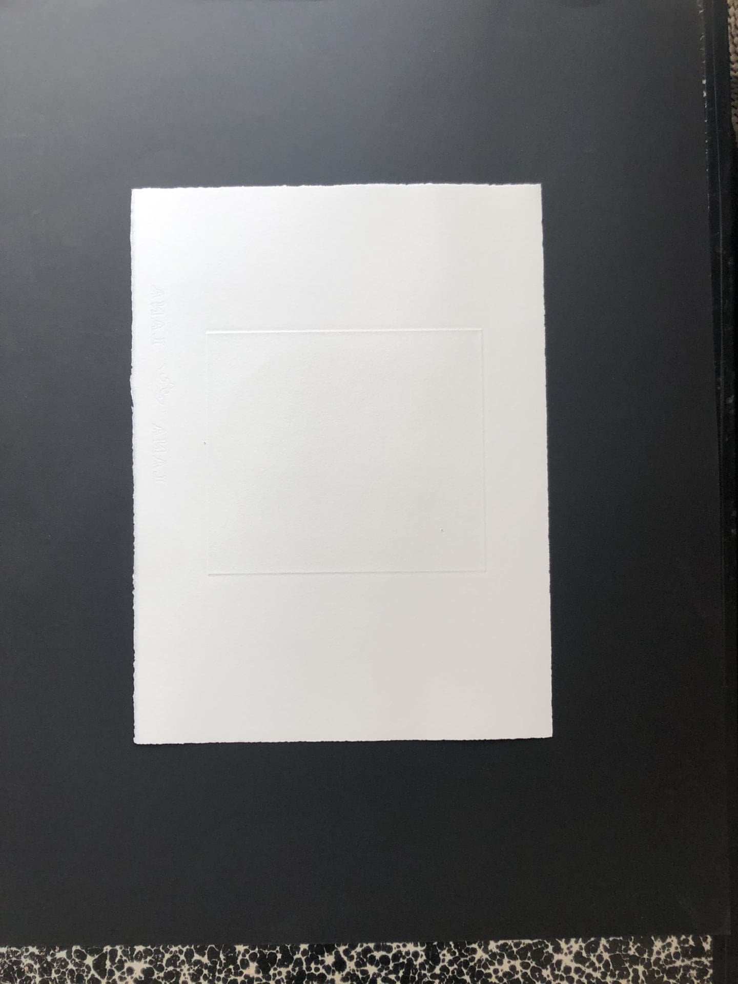 Francois-Xavier Lalanne (1927-2008) Le Chat, 2004