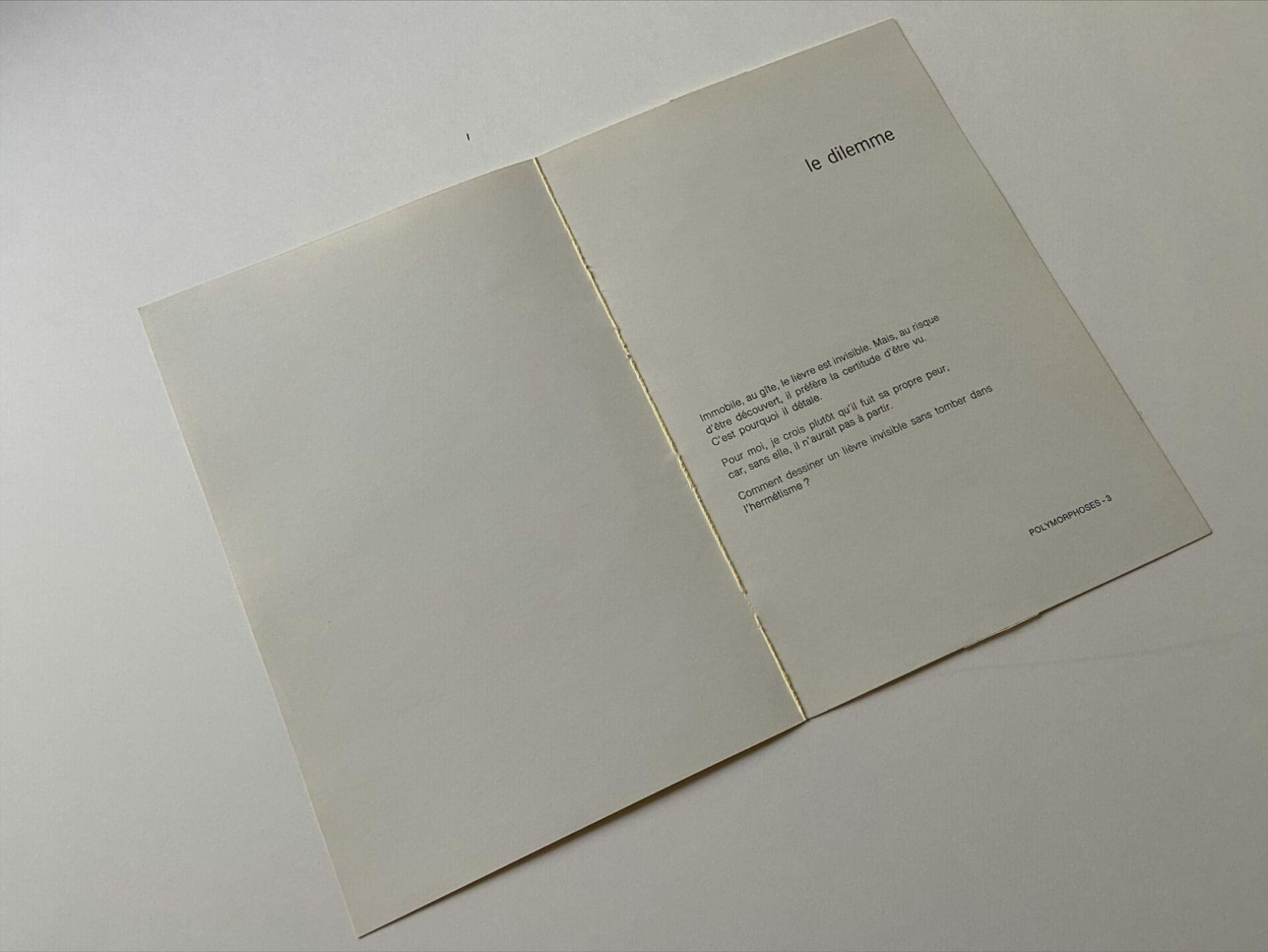 François-Xavier Lalanne – Le Dilemme (Lièvre) Polymorphose