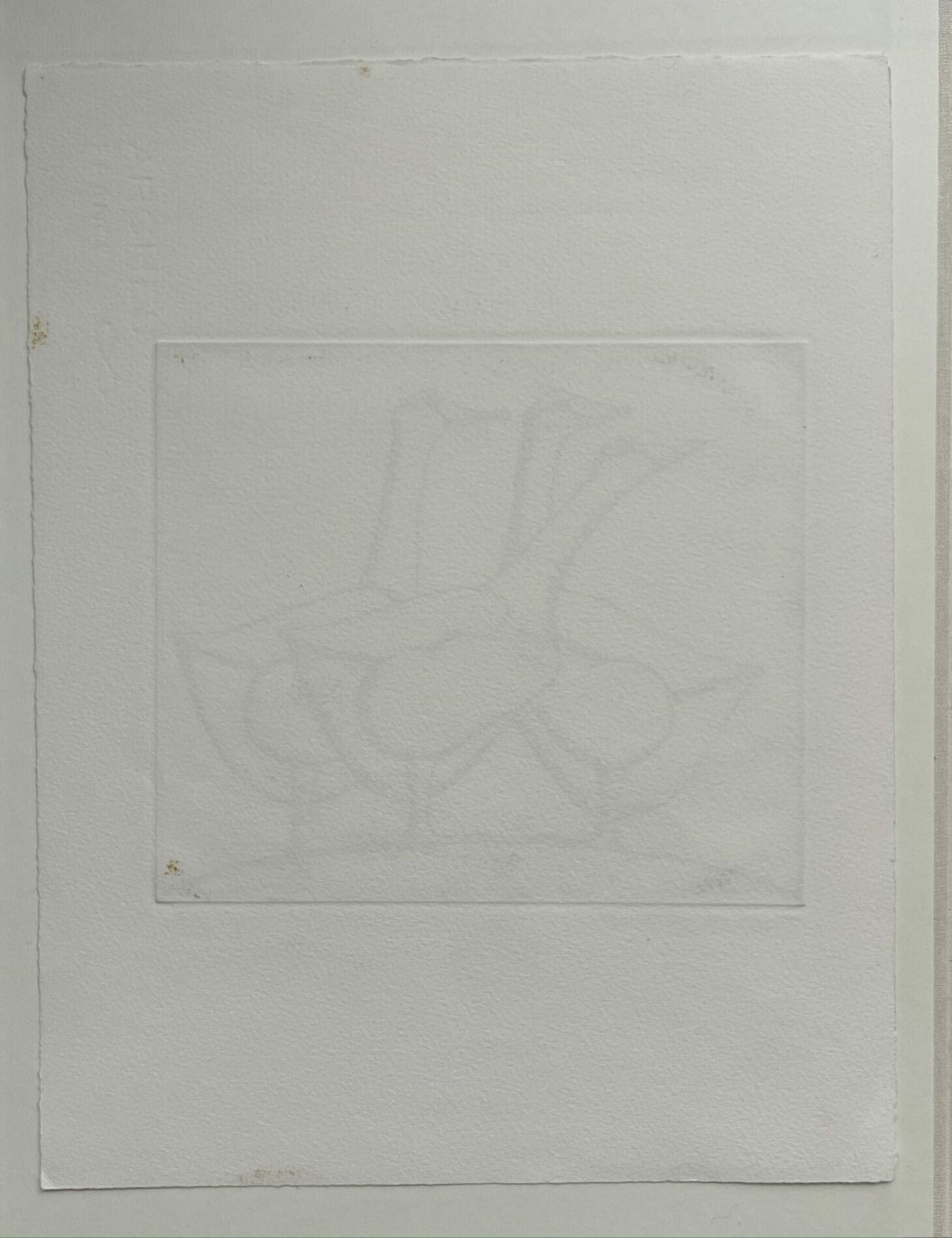 François-Xavier Lalanne – Les Trois Oies – Épreuve d&rsquo;artiste unique