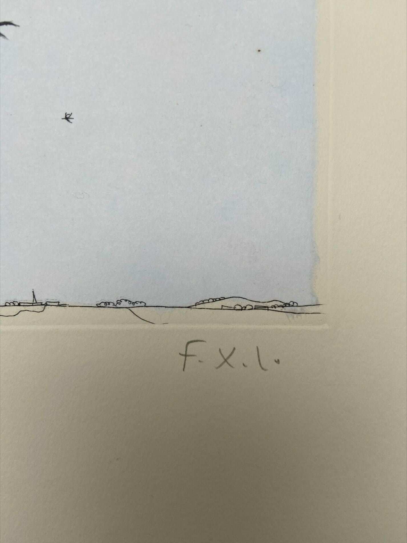 François-Xavier Lalanne – Les Oiseaux, Eau-forte