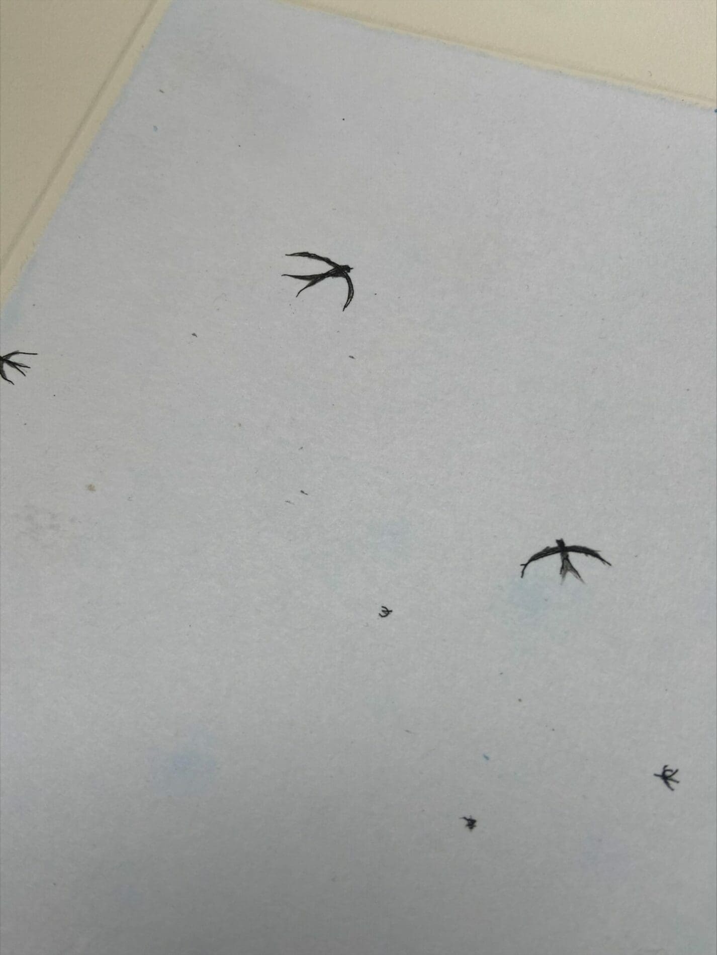 François-Xavier Lalanne – Les Oiseaux, Eau-forte