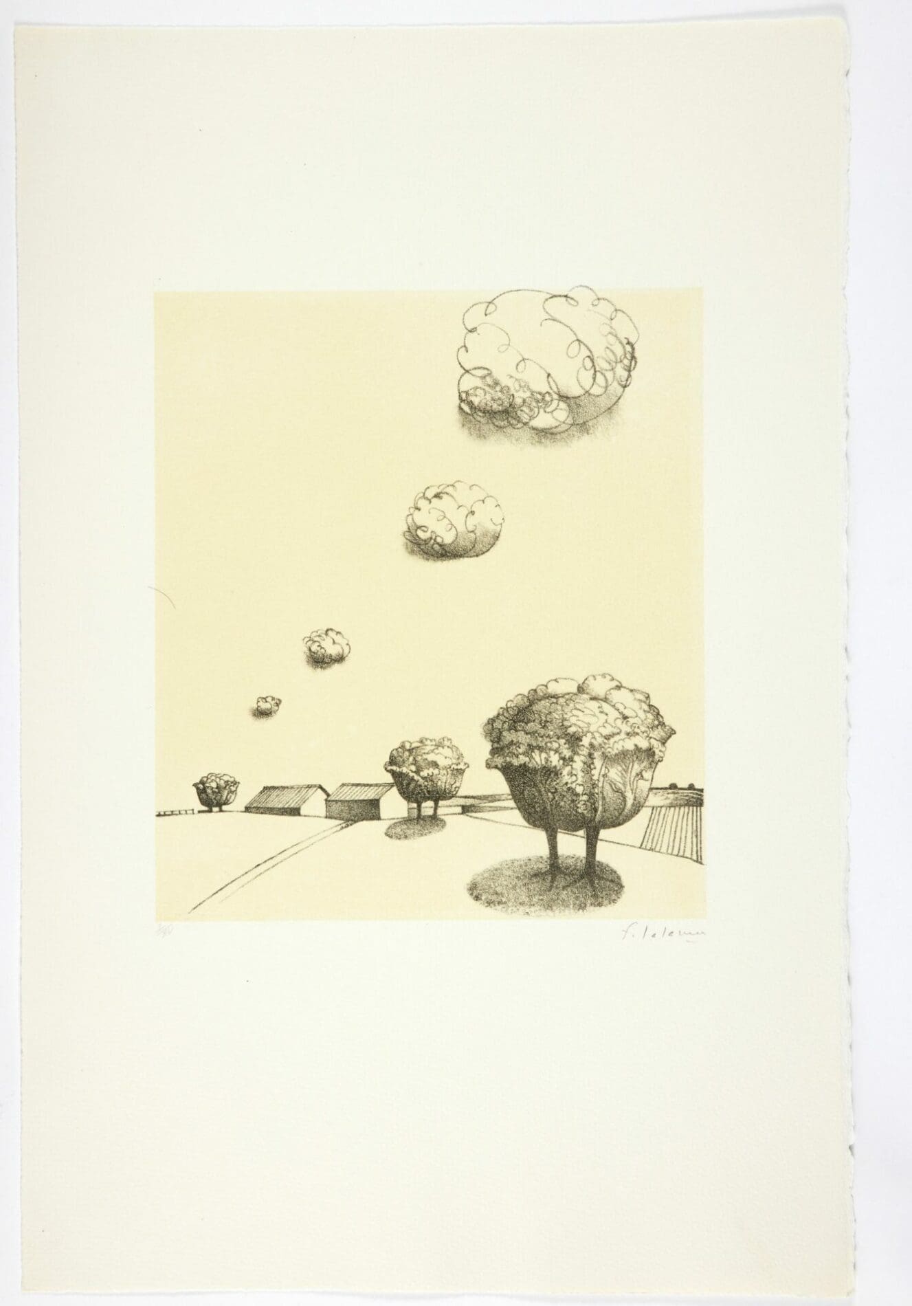 François-Xavier Lalanne – Portfolio Polymorphose – 1978