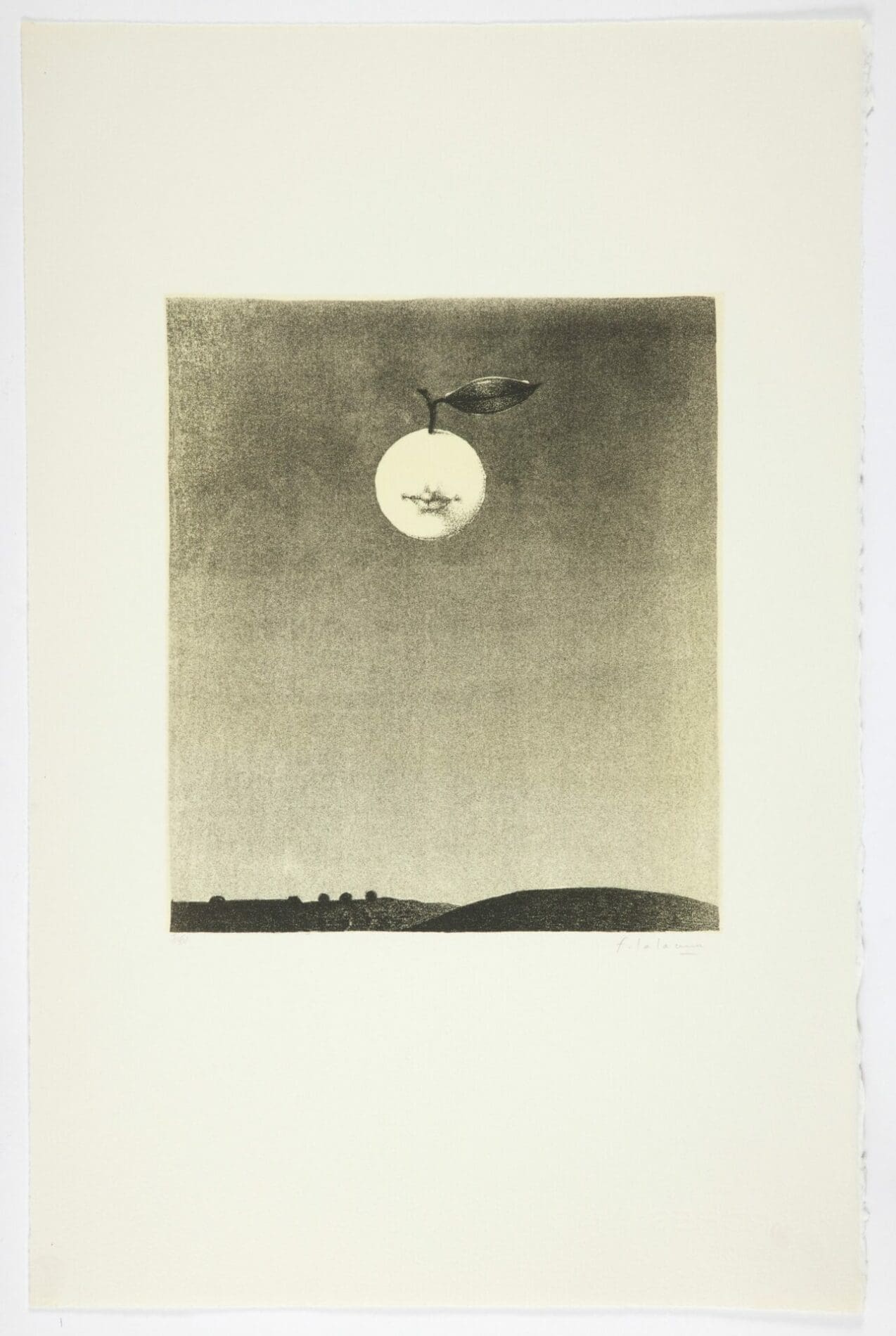 François-Xavier Lalanne – Portfolio Polymorphose – 1978