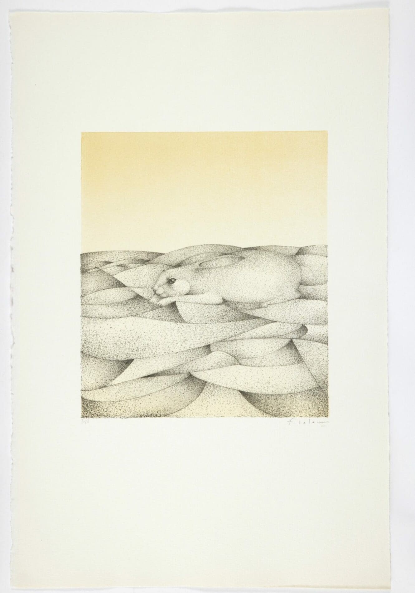 François-Xavier Lalanne – Portfolio Polymorphose – 1978