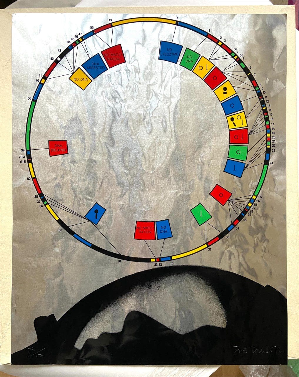 Joe Tilson – No DNA, Sérigraphie sur aluminium (1968)