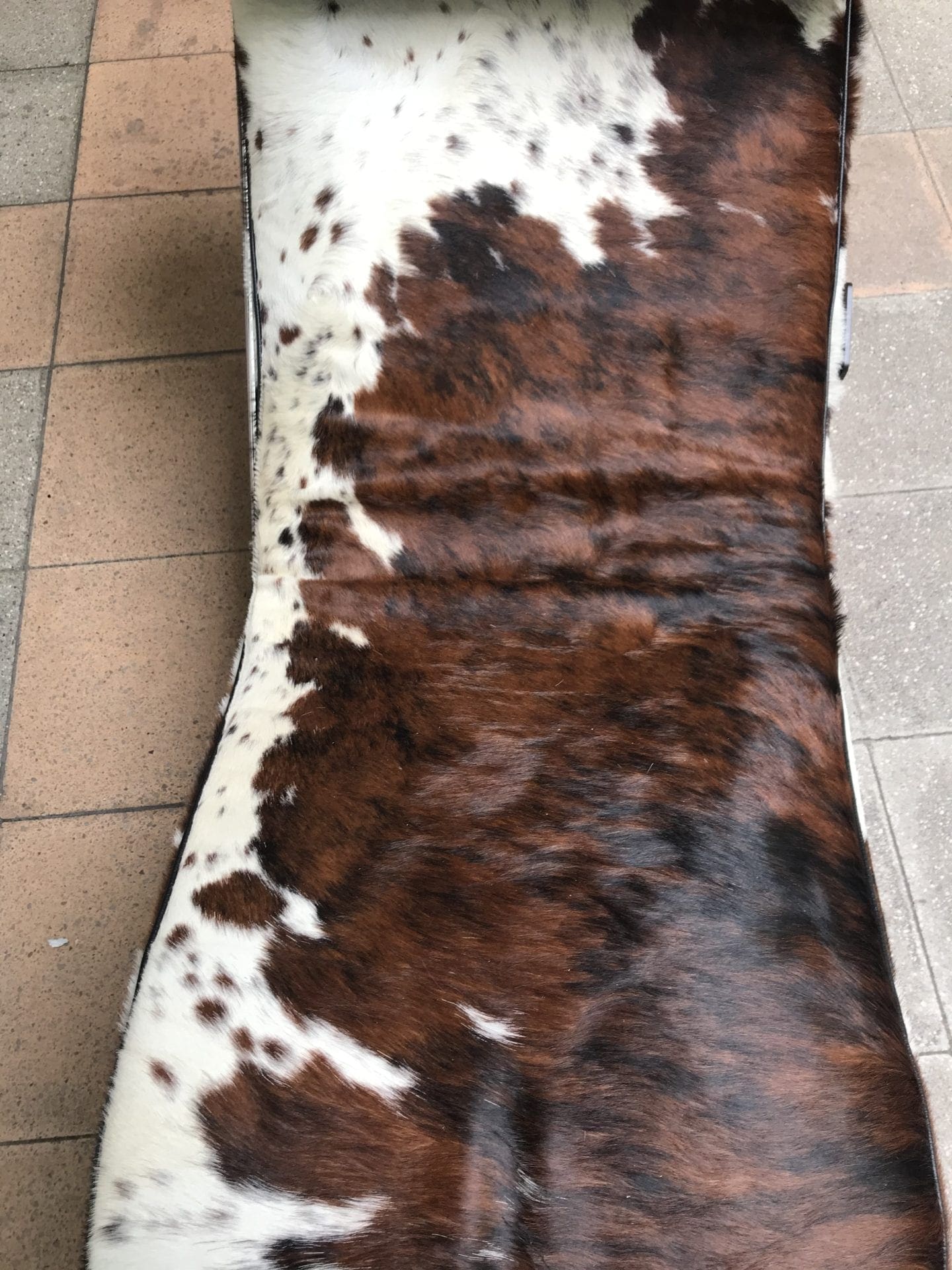 Le Corbusier –  LC4 peau de vache BI-TON  – 2015