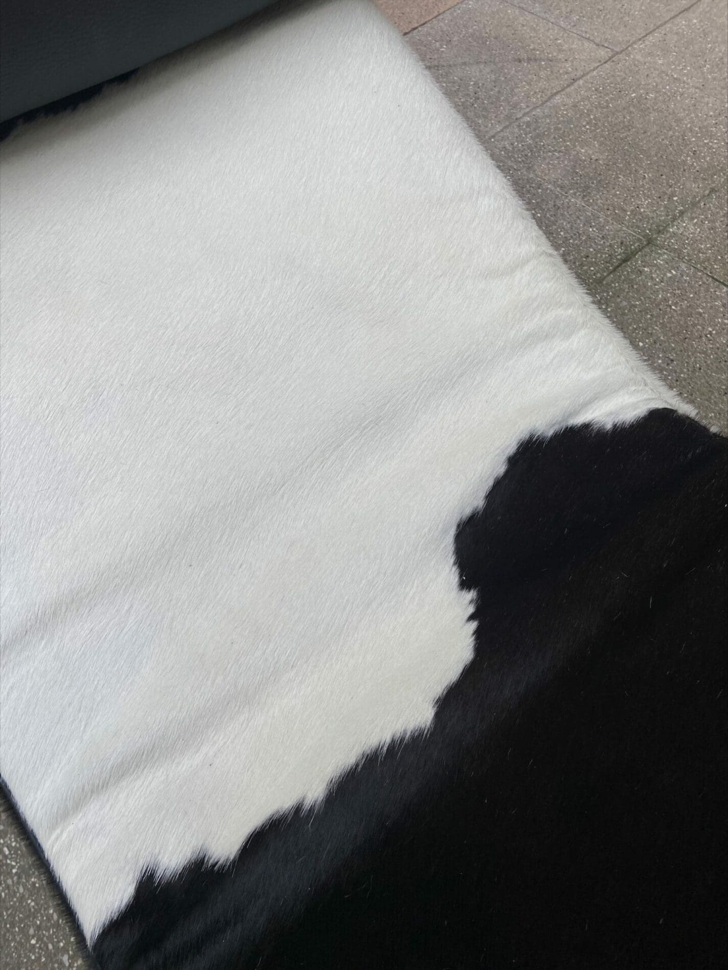 Le Corbusier et Charlotte Perriand – LC4 occasion N&B 3