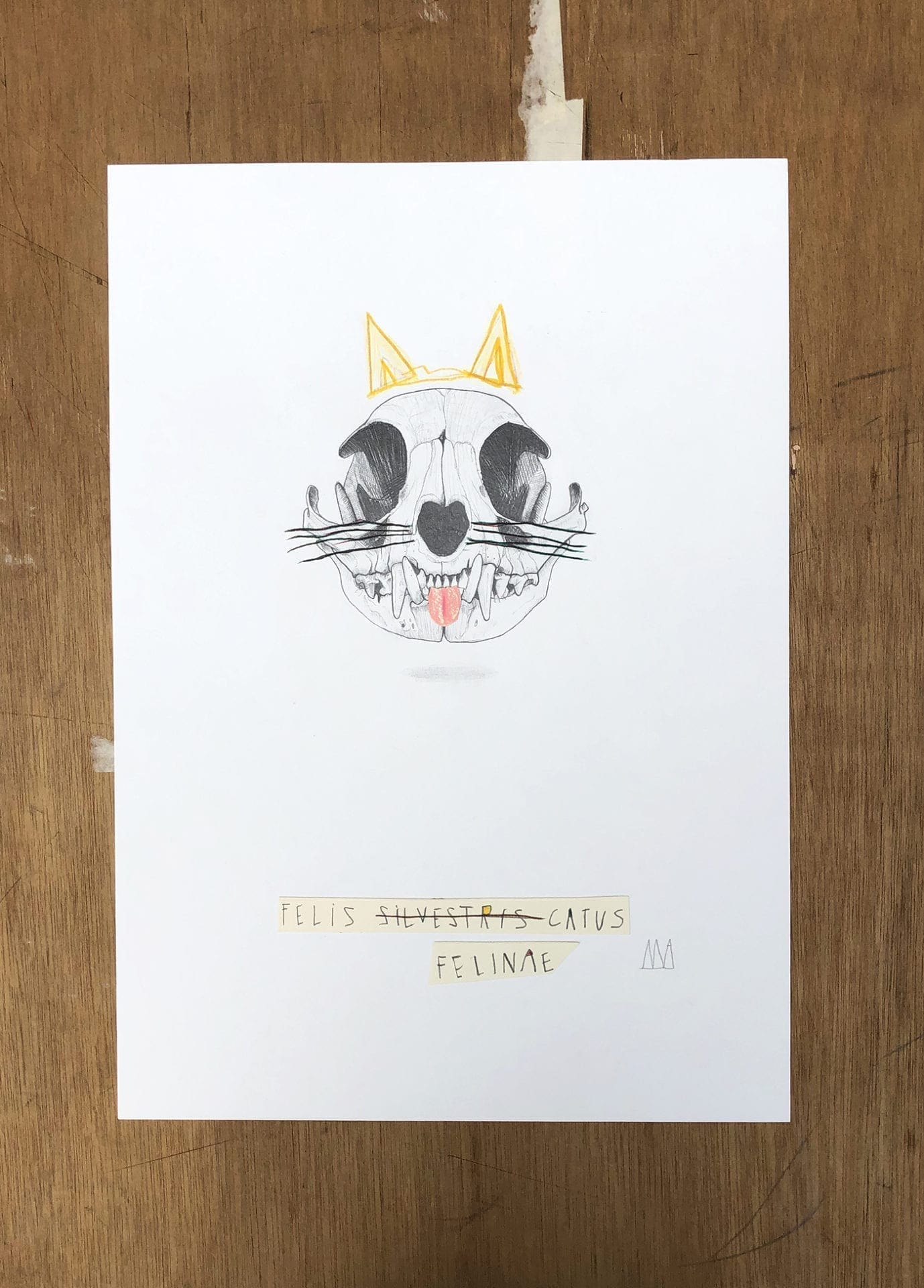 Mateo Andrea – Felis Catus (2020)