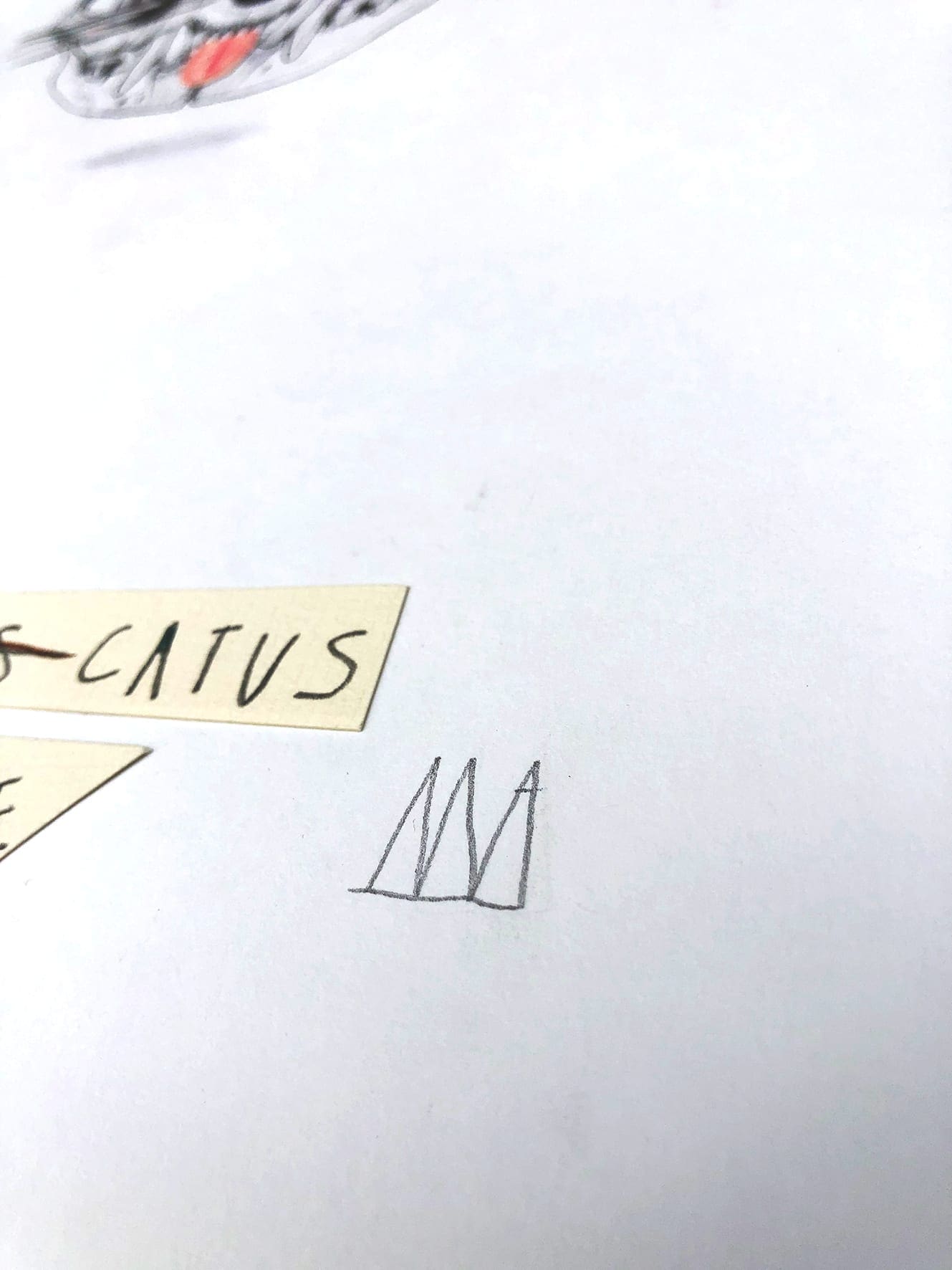 Mateo Andrea – Felis Catus (2020)