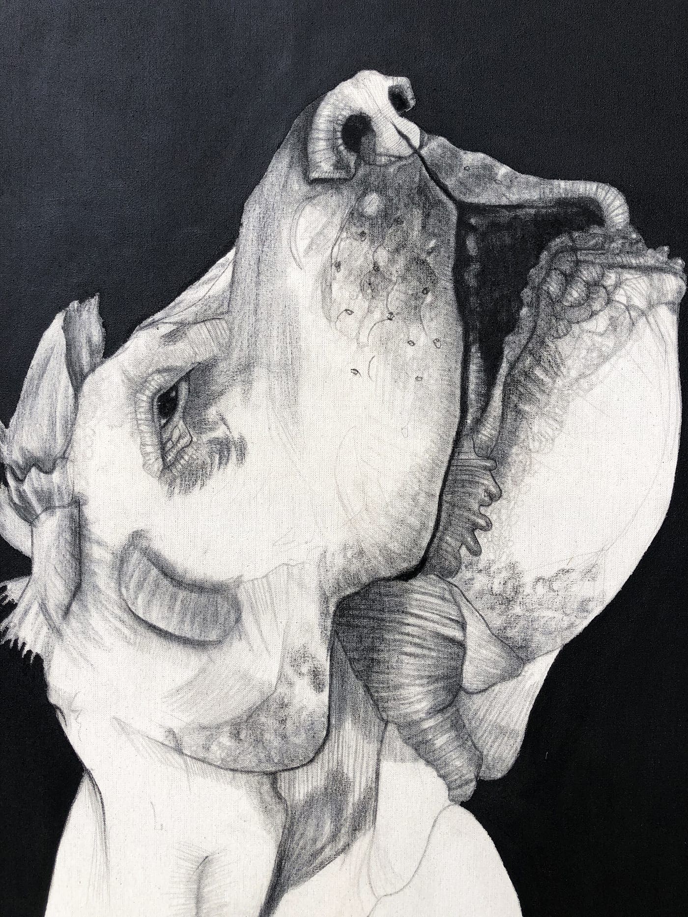 Mateo Andrea – Perrito Señor, technique mixte sur toile (2015)
