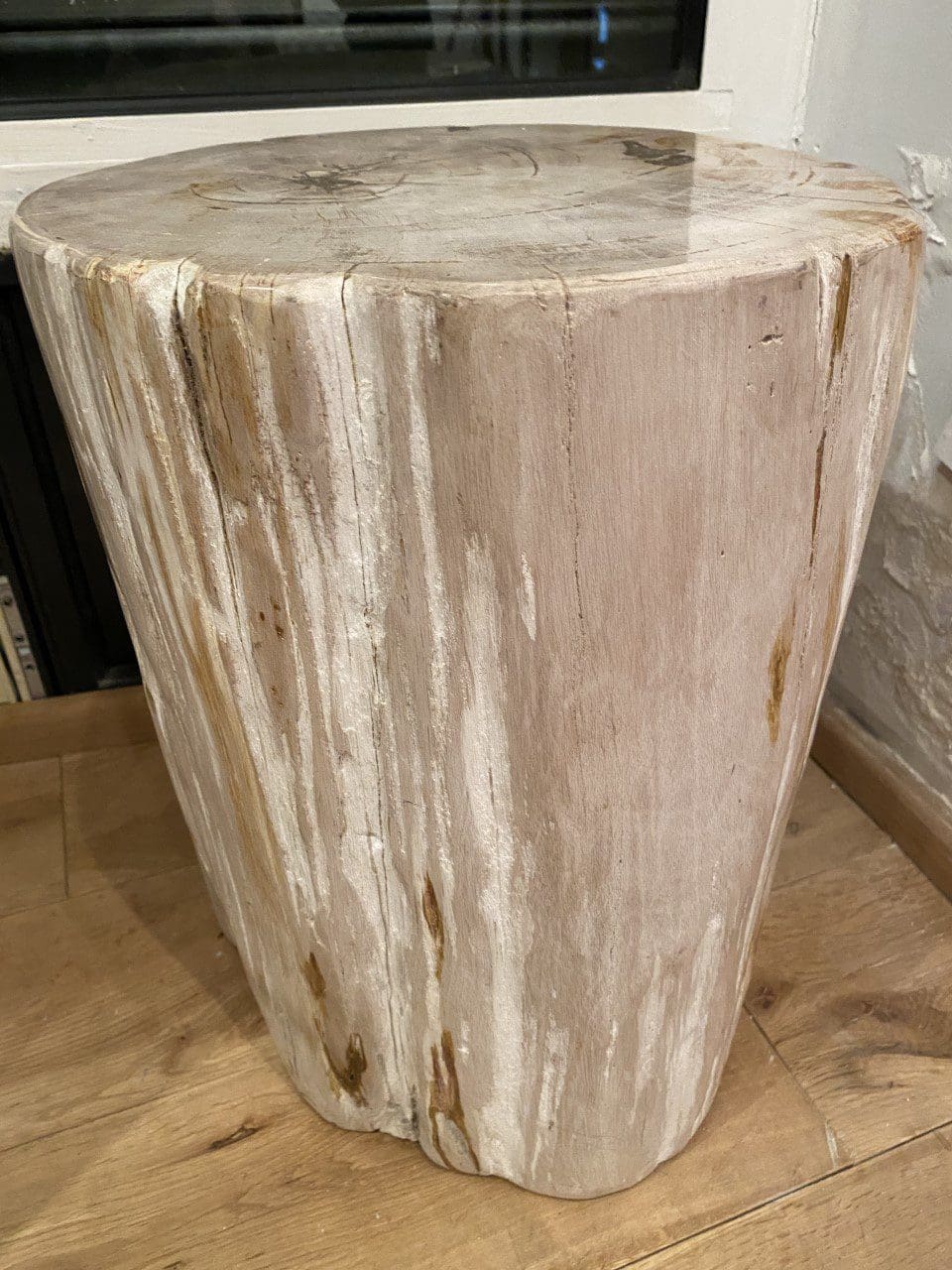 Meuble sculpture Trias – Bois pétrifié