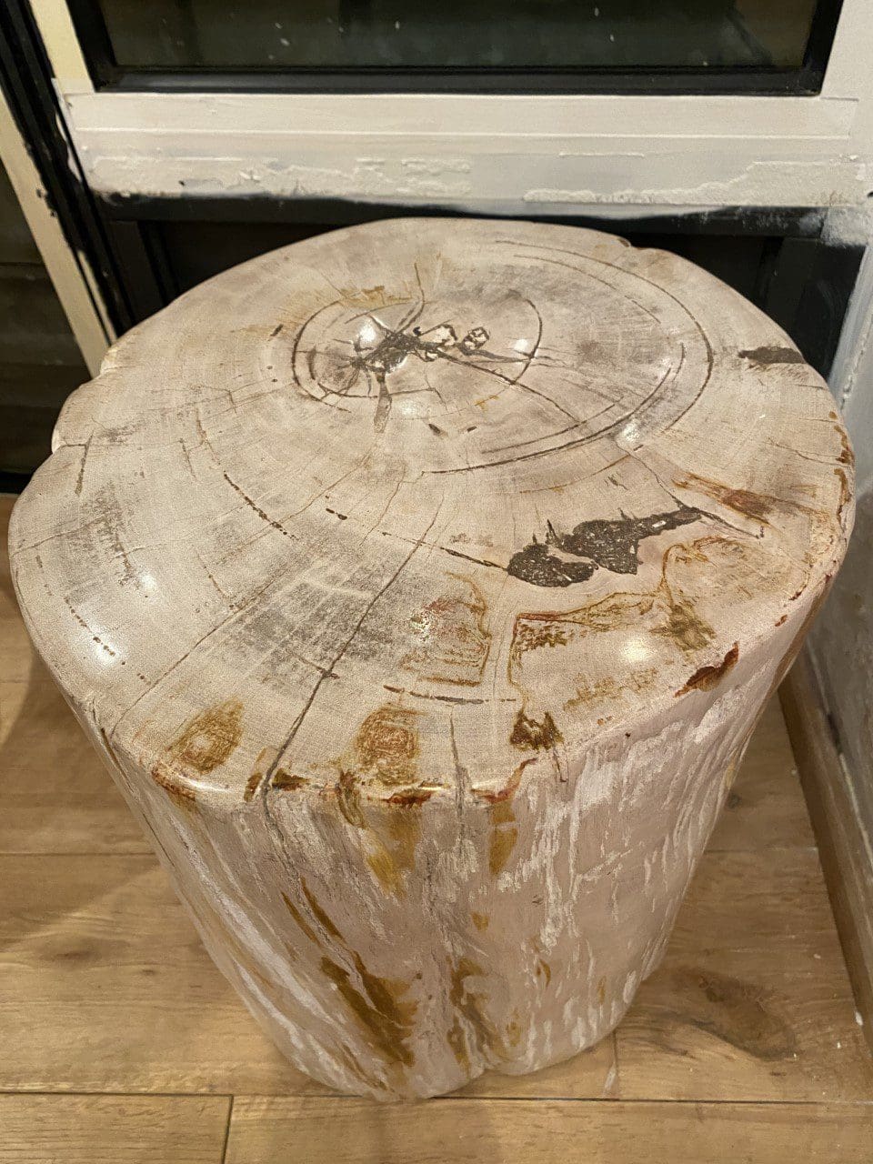 Meuble sculpture Trias – Bois pétrifié