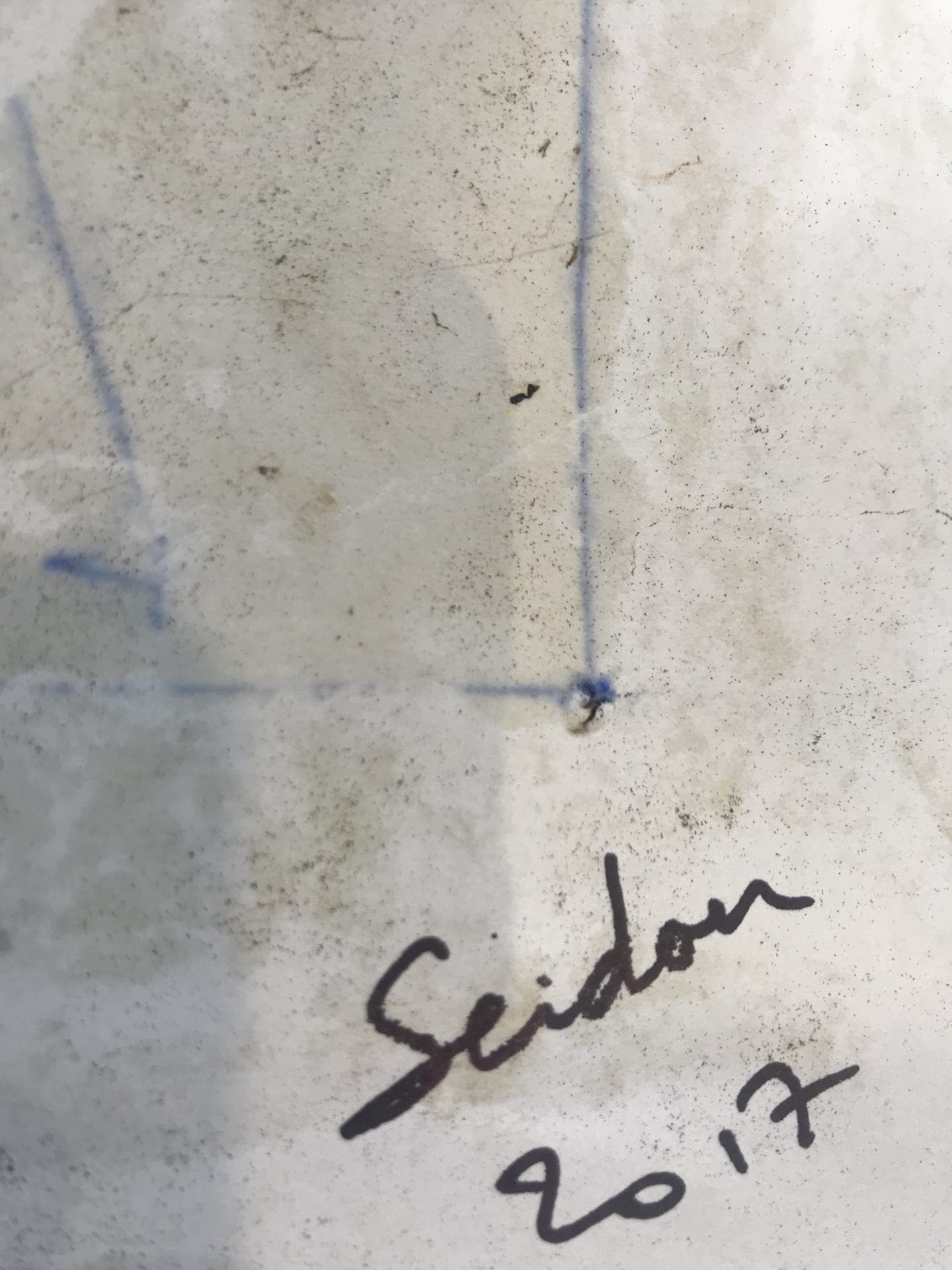 Collage d’Ailes de Papillons par Moluh Seidou – Chef-d’œuvre de 2017