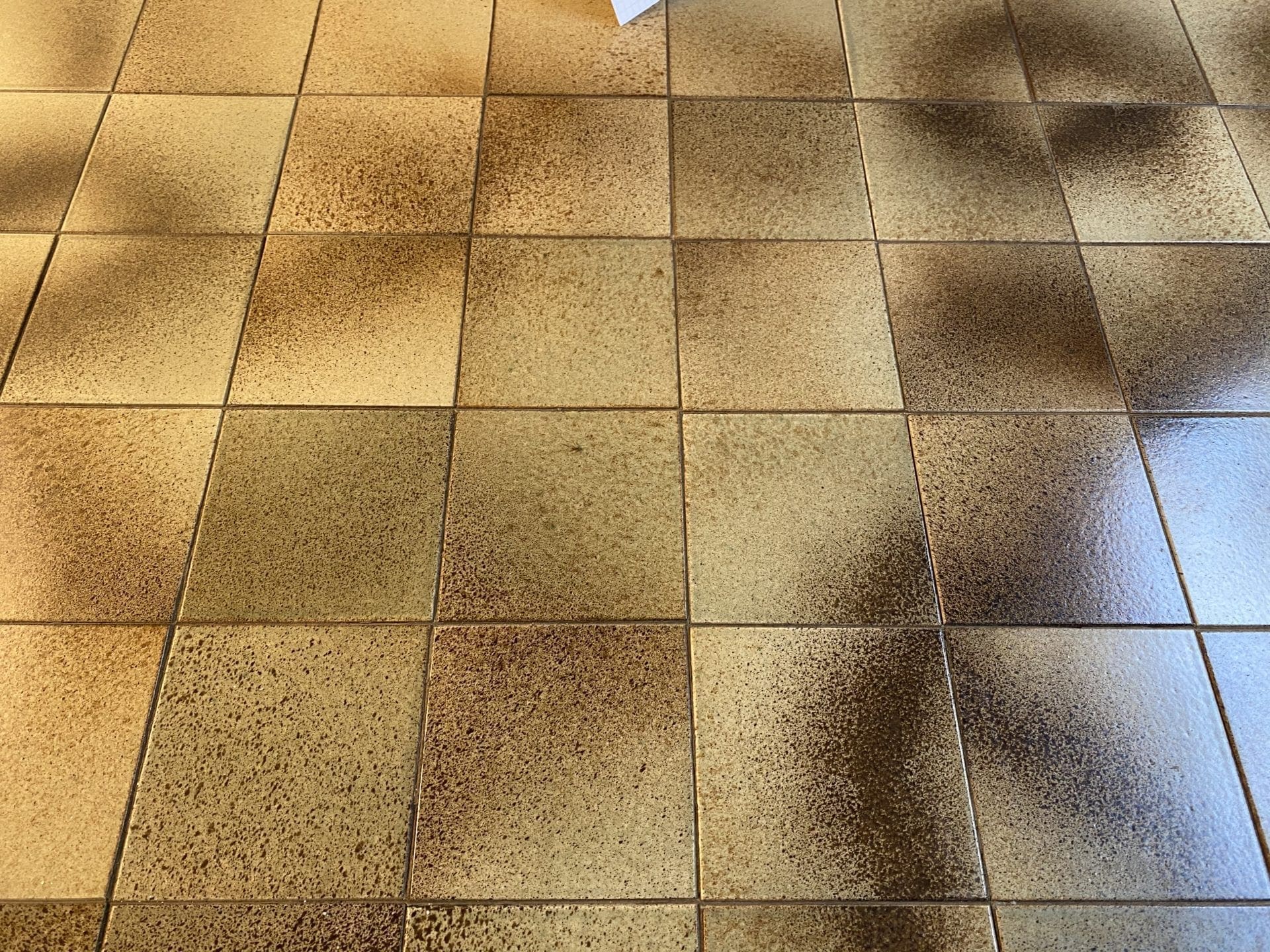 Table T18 par Pierre Chapo – Design Authentique en Orme et Céramique, 1972