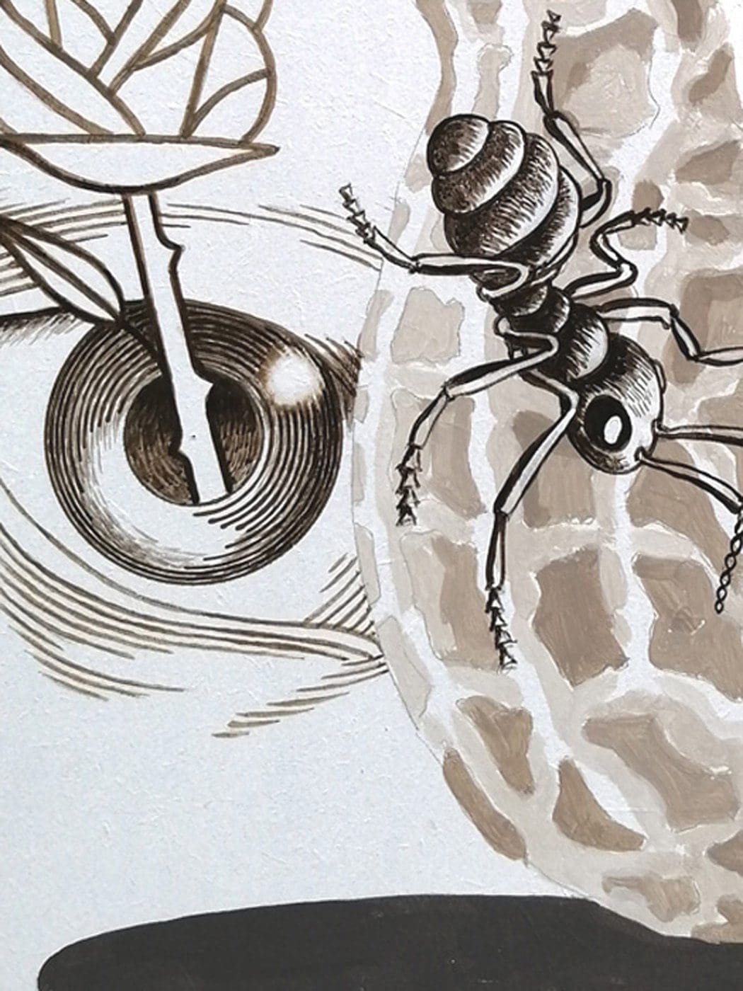 Pierre Jacob – Ants and peanut