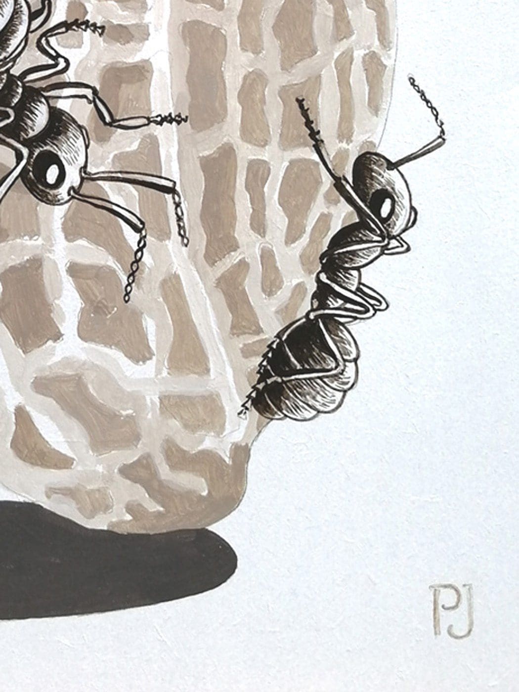 Pierre Jacob – Ants and peanut