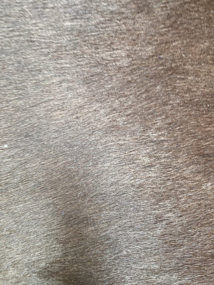 Pouf mobile par Trussardi Occasion – Superbe !