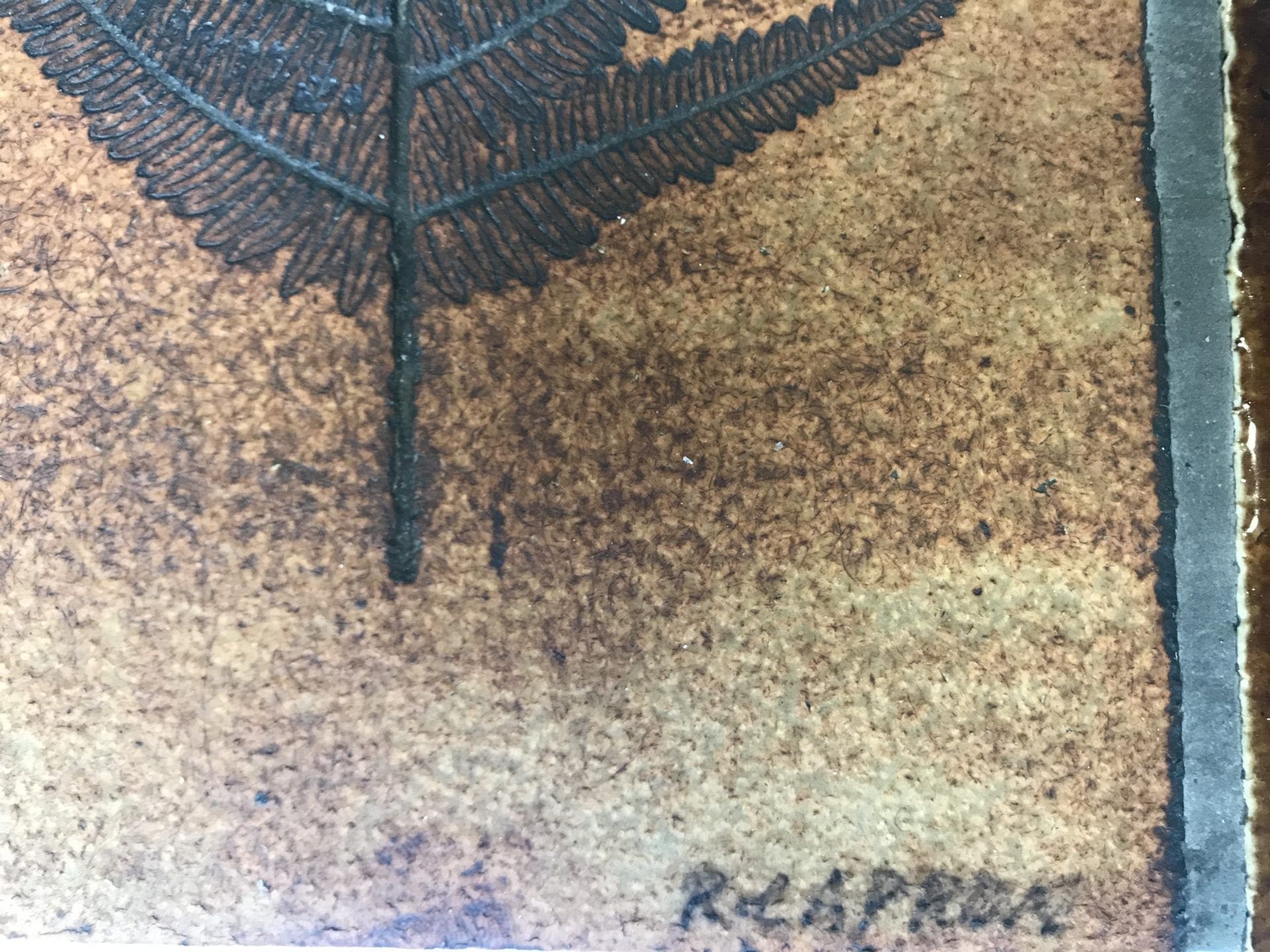 Roger Capron – Table basse – l’herbier