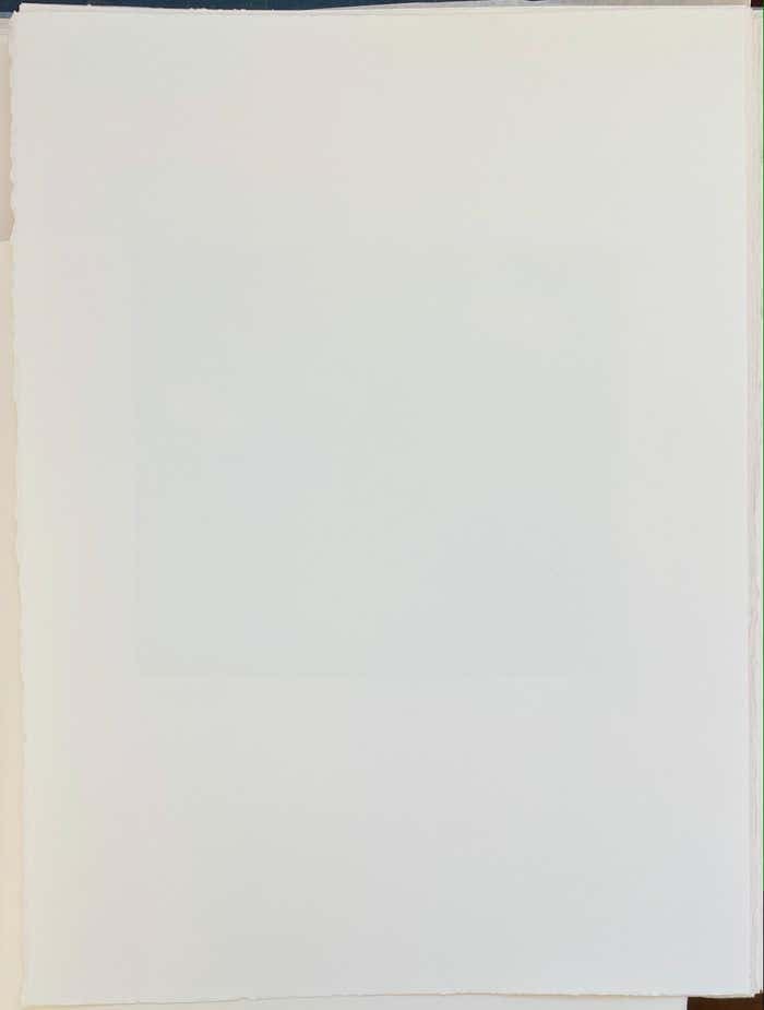 François-Xavier Lalanne, « Pegasus », 2005