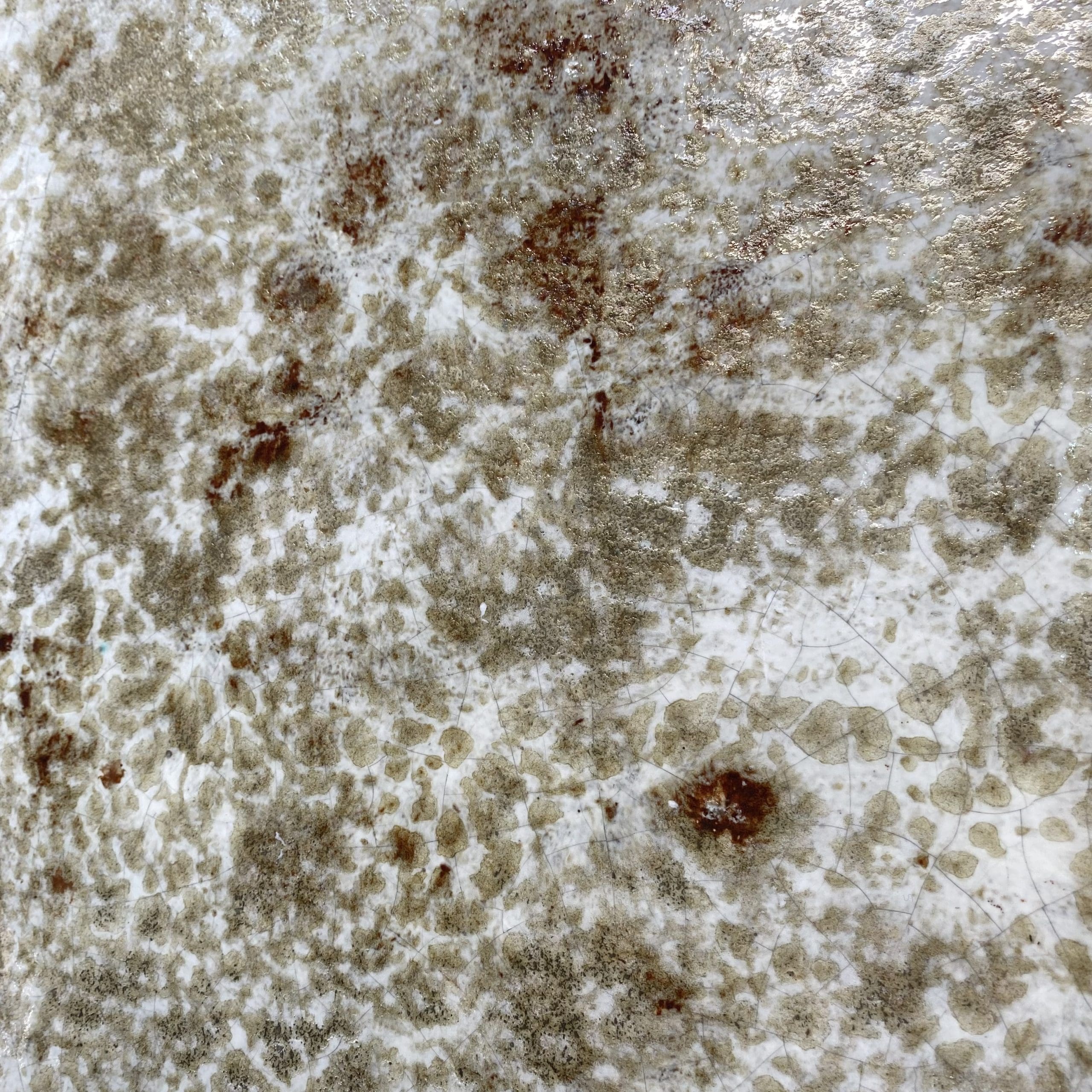 Table Basse Jean Gregorieff pour Roche Bobois