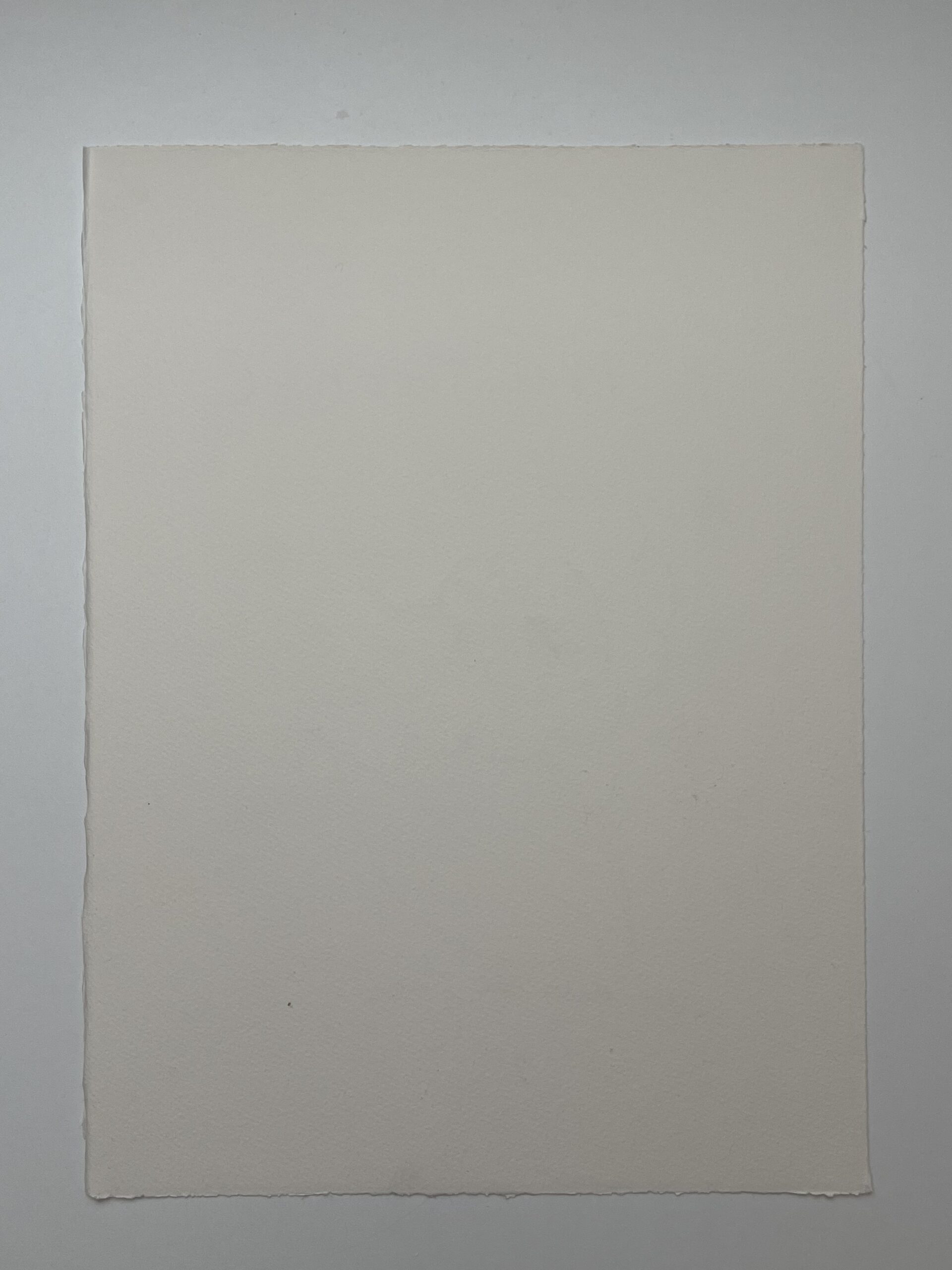 « L&rsquo;Abeille et la Fleur » par François-Xavier Lalanne : La Poésie du Trait Minimal