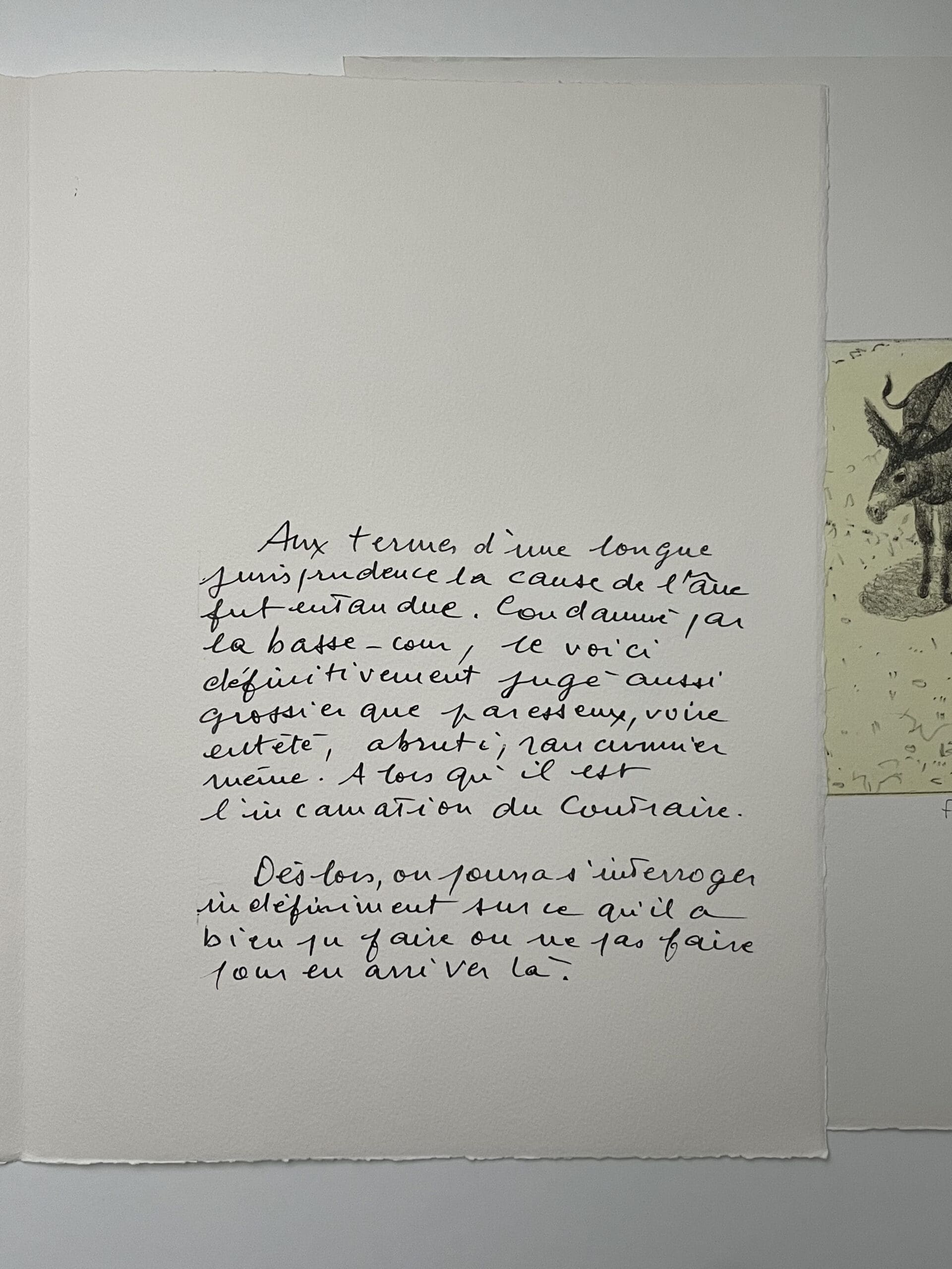 « Les Ânes » par François-Xavier Lalanne : Une Réflexion Poétique sur l&rsquo;Intelligence Animale