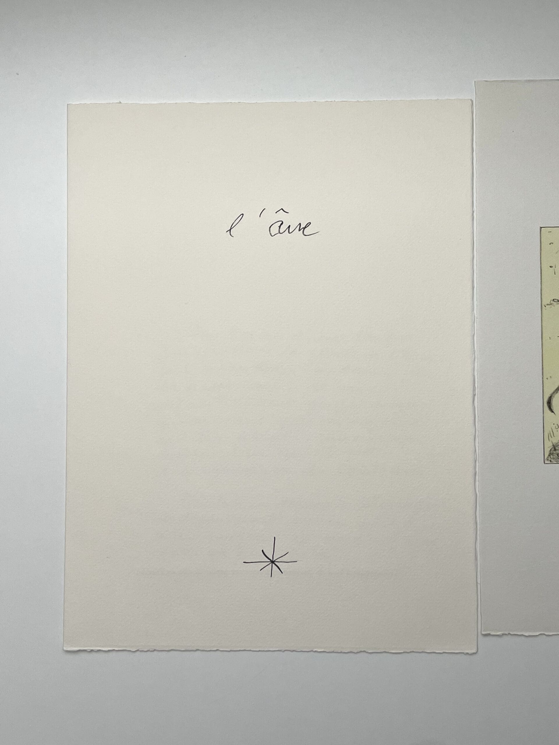 « Les Ânes » par François-Xavier Lalanne : Une Réflexion Poétique sur l&rsquo;Intelligence Animale