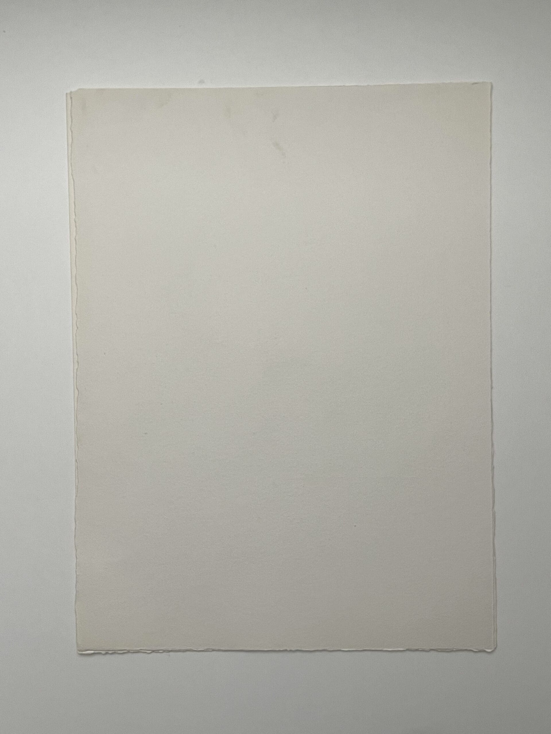 « Les Ânes » par François-Xavier Lalanne : Une Réflexion Poétique sur l&rsquo;Intelligence Animale