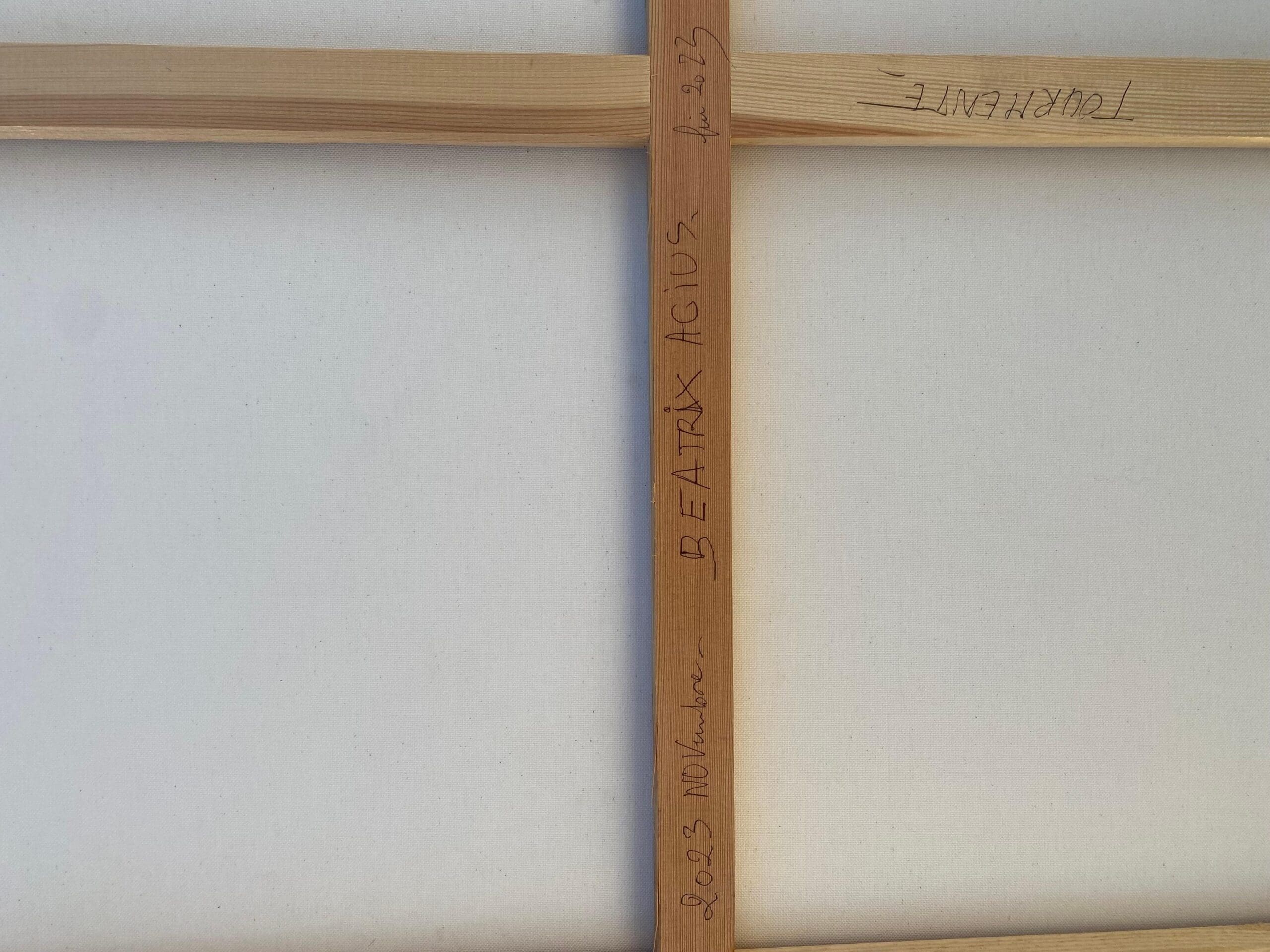 Storm – Une œuvre captivante de Beatrix Agius