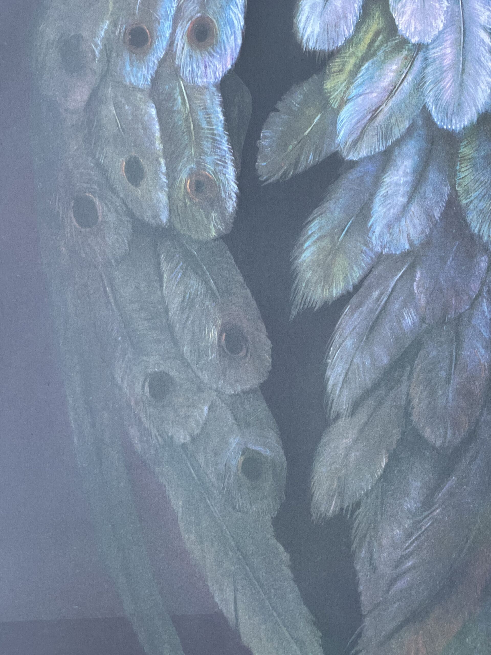 Leonor Fini – Rogomelec, lithographie originale signée et numérotée