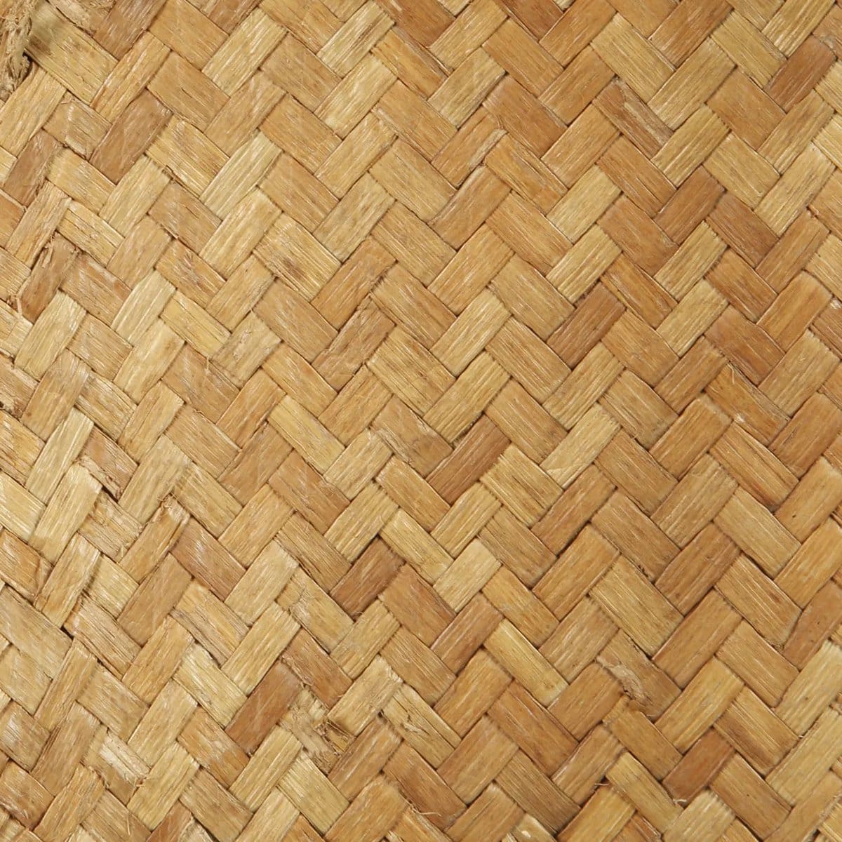 Sculpture Le Guerrier Debout – Pièce d’art tribale en os de buffle, sur socle (neuf)