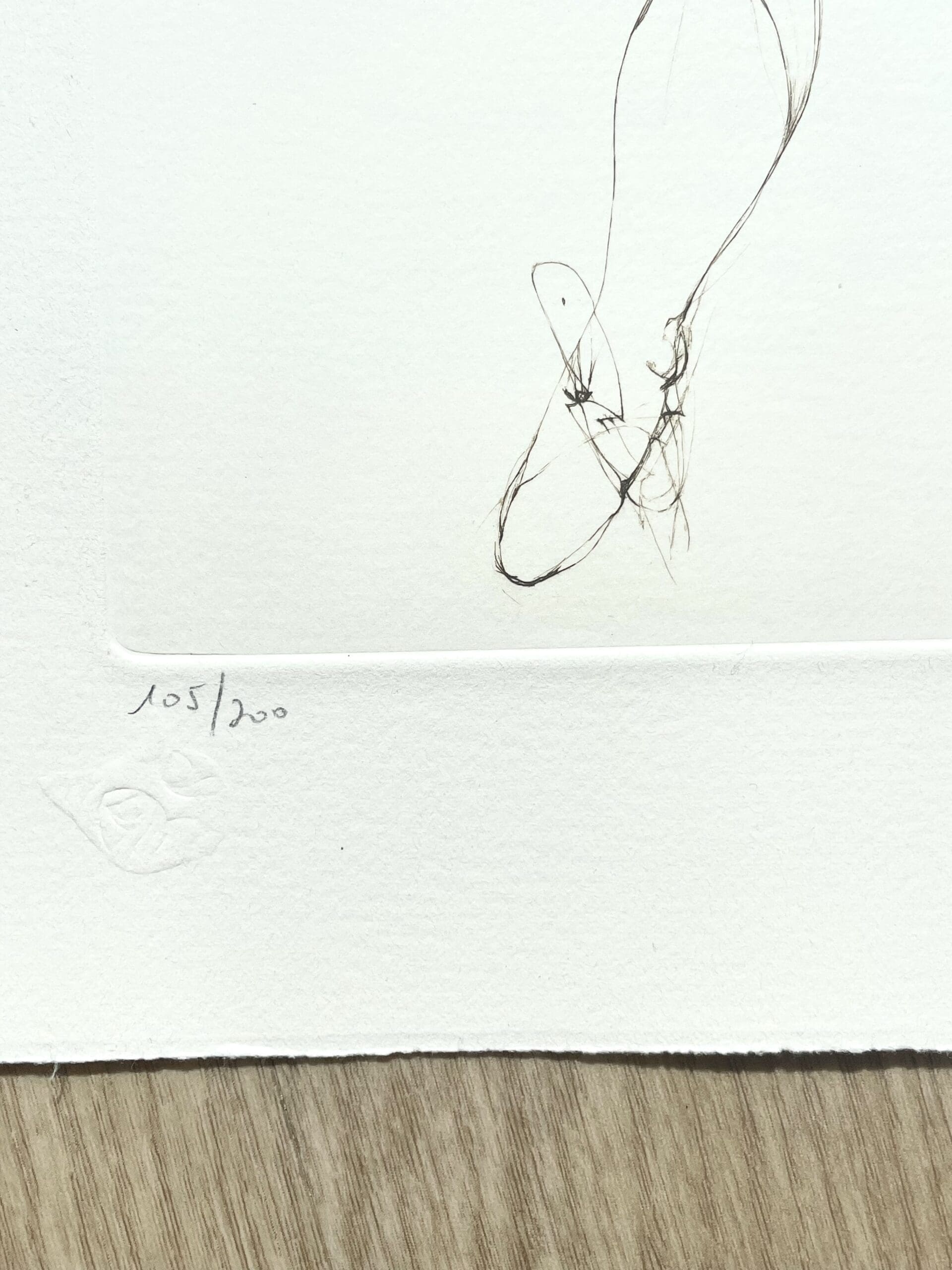 Leonor Fini – Lithographie originale signée, Rogomelec en manteau de plumes, circa 1980