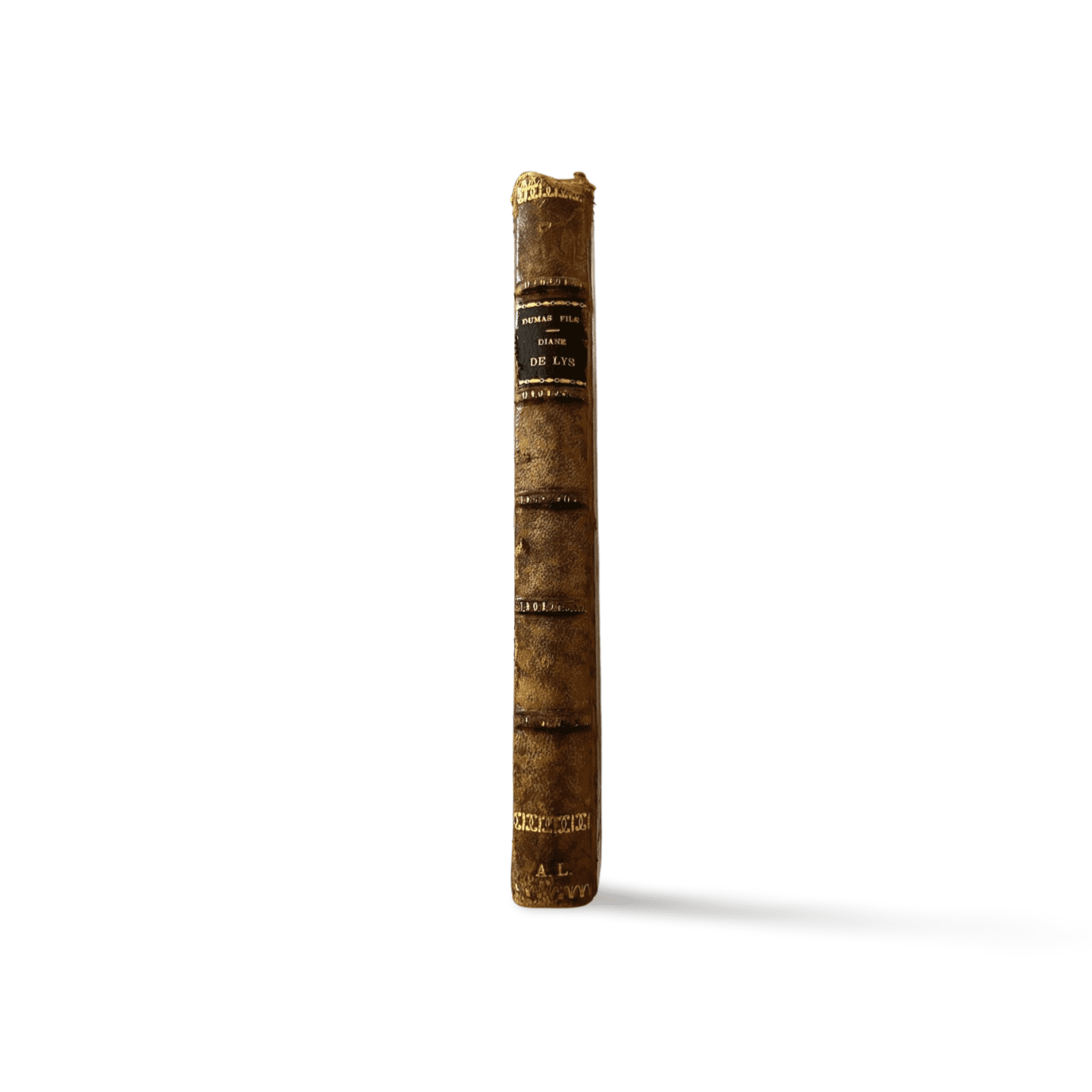 Diane de Lys – Alexandre Dumas fils – Édition Michel Lévy, 1875, reliure d’époque