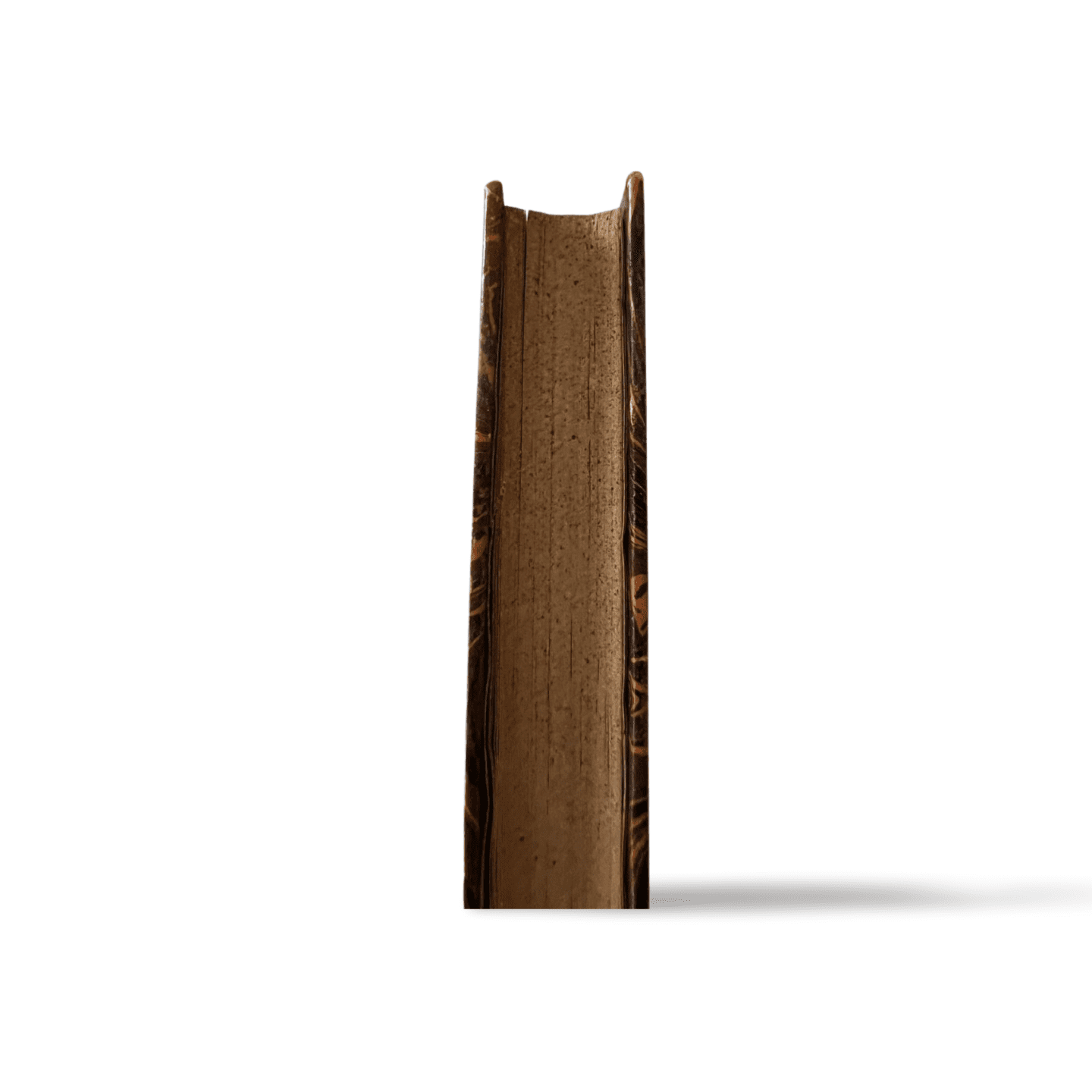Diane de Lys – Alexandre Dumas fils – Édition Michel Lévy, 1875, reliure d’époque